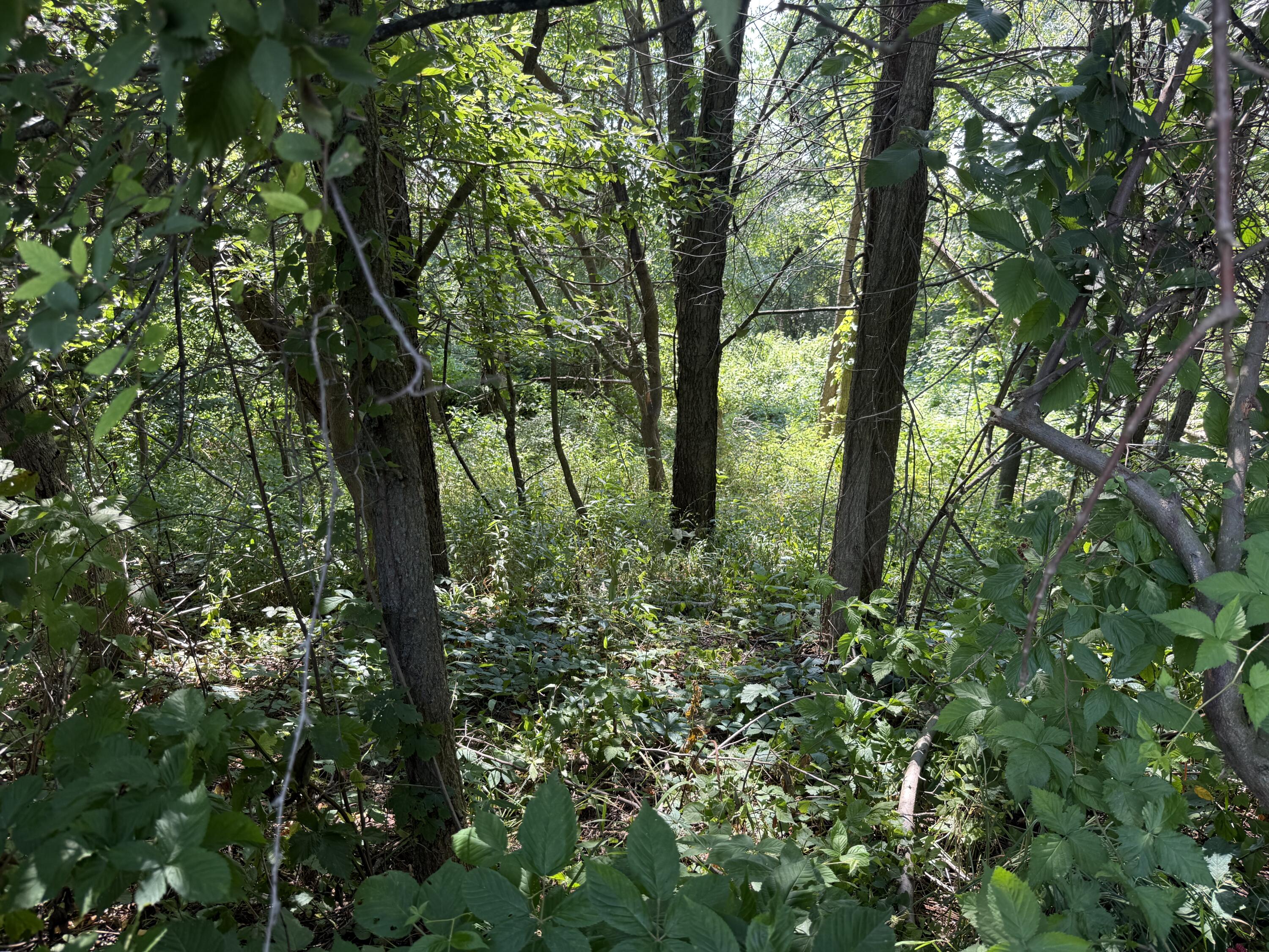1306 122nd Avenue Hopkins MI 49328