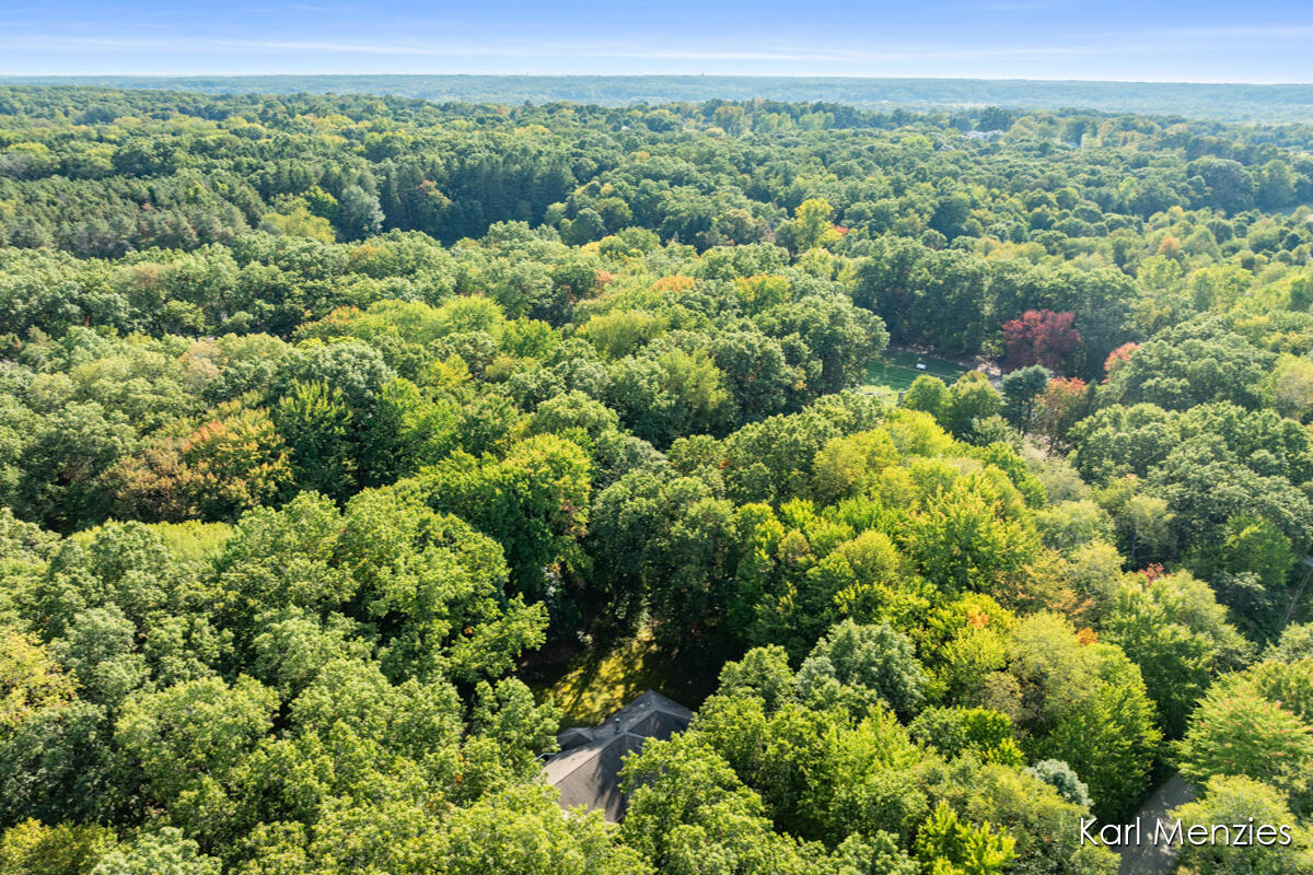 1290 Cramton Avenue NE Ada MI 49301