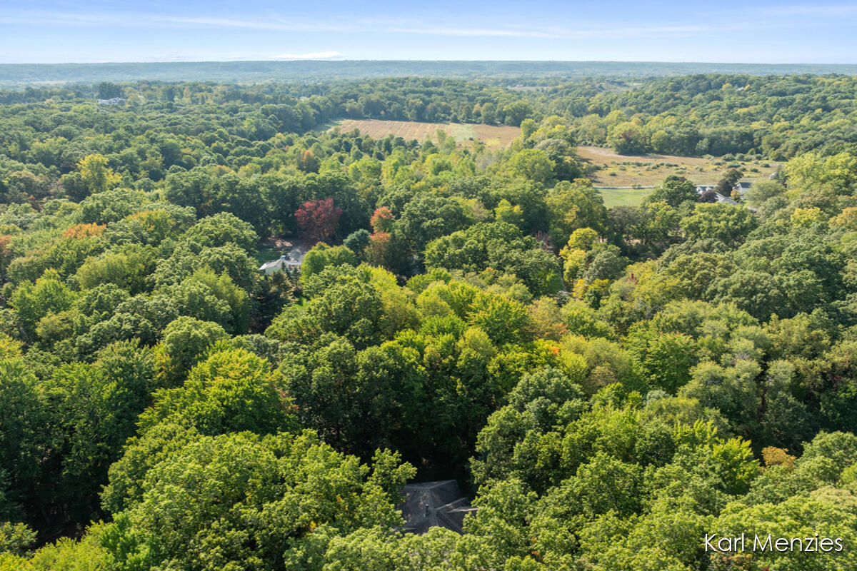 1290 Cramton Avenue NE Ada MI 49301