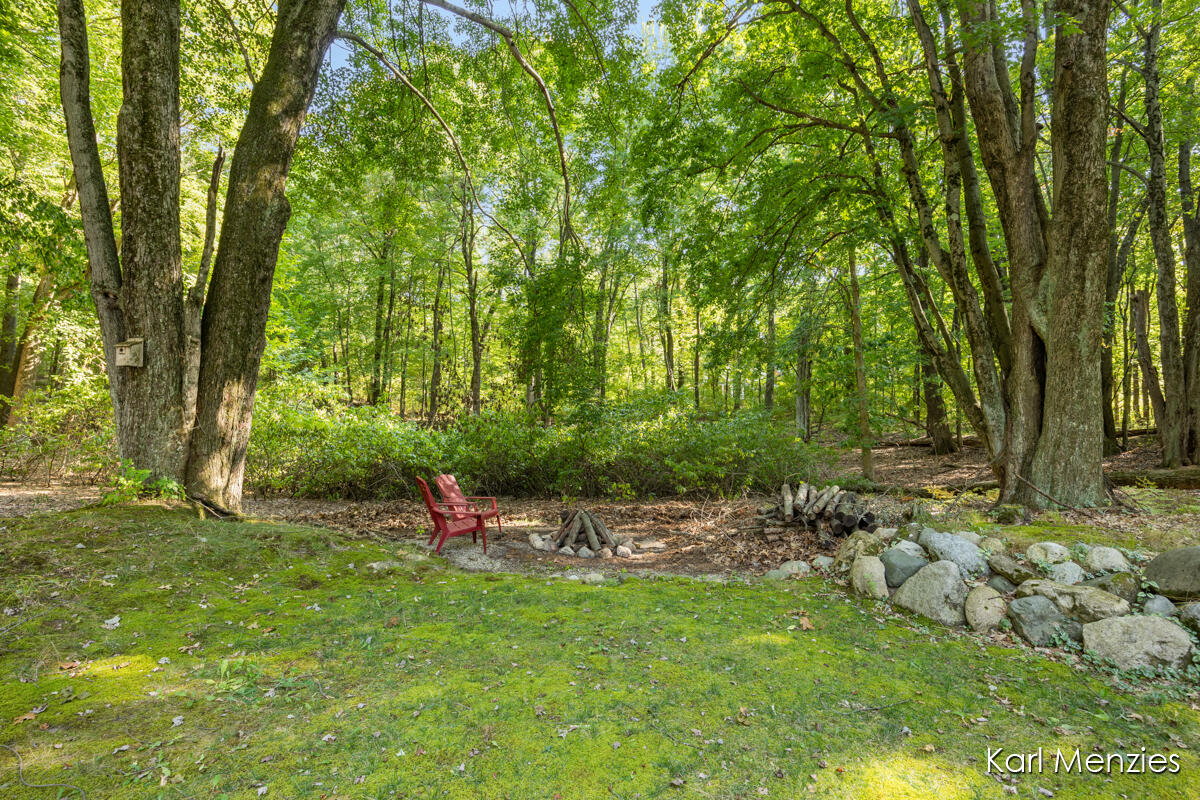 1290 Cramton Avenue NE Ada MI 49301