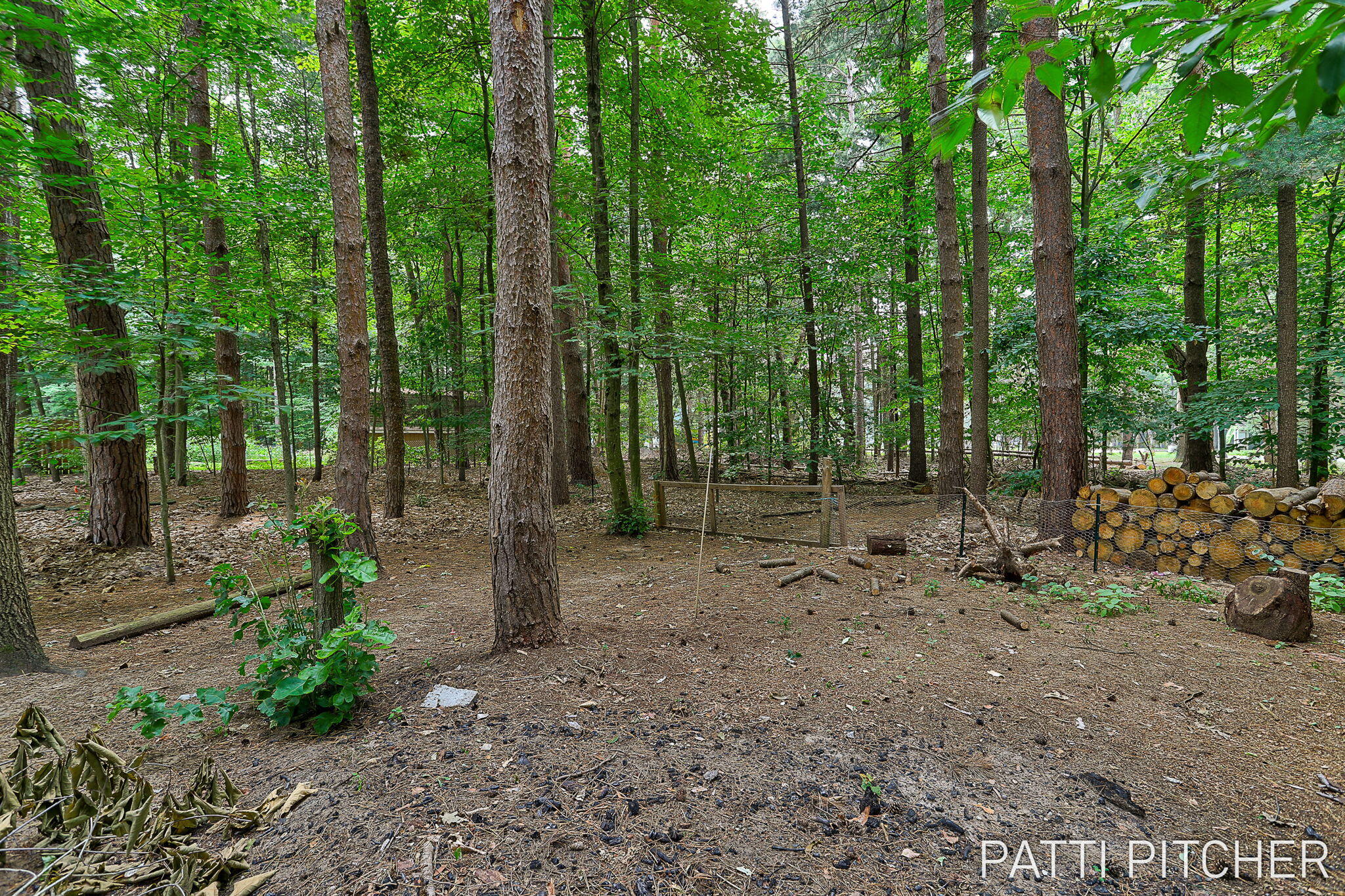 13369 Forest Park Drive Grand Haven MI 49417