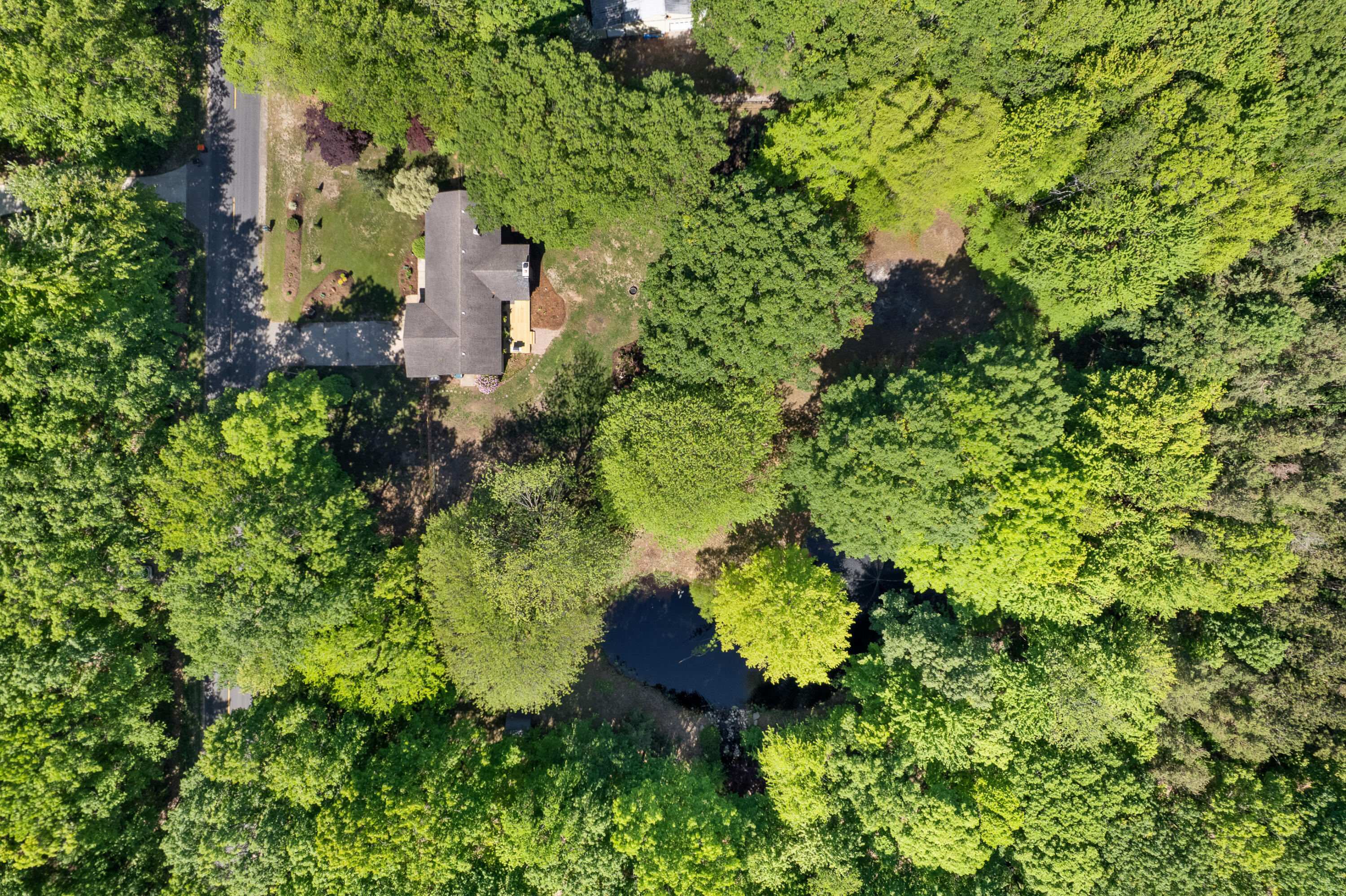 15635 Stanton Street West Olive MI 49460