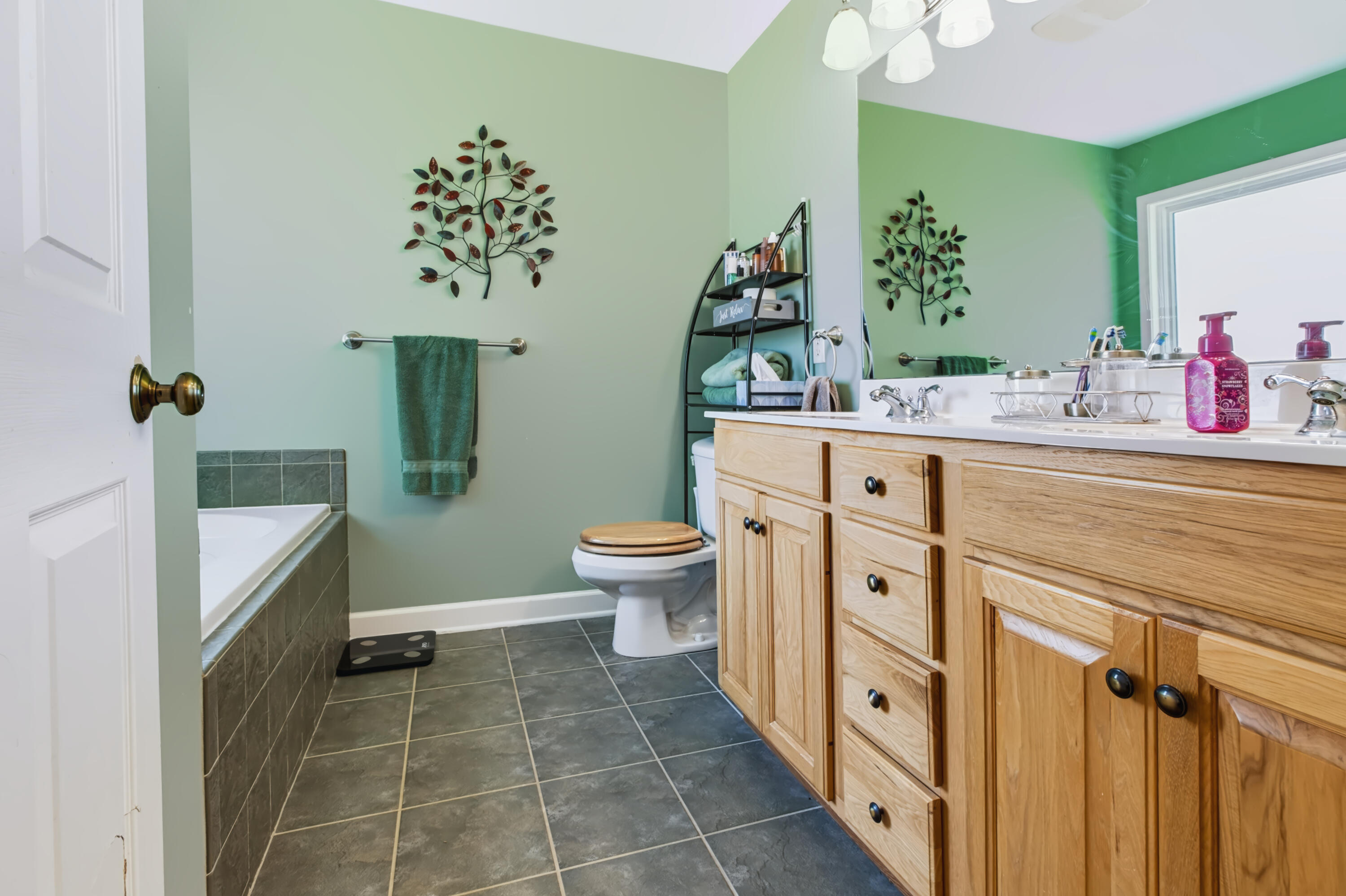 707 Tulip Drive Three Oaks MI 49128