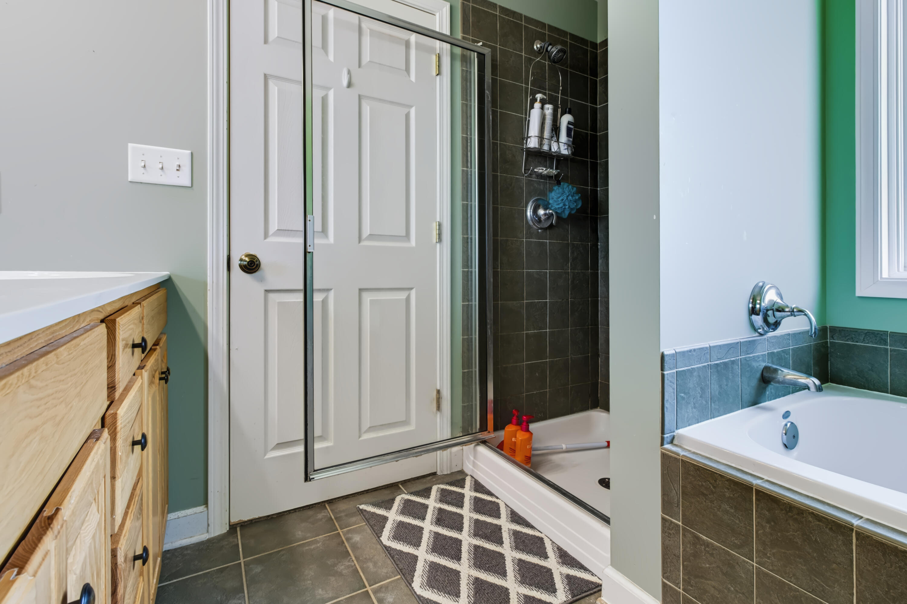 707 Tulip Drive Three Oaks MI 49128