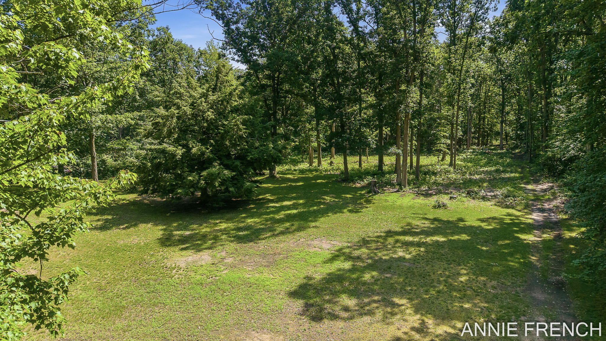 1375 56th Street Fennville MI 49408