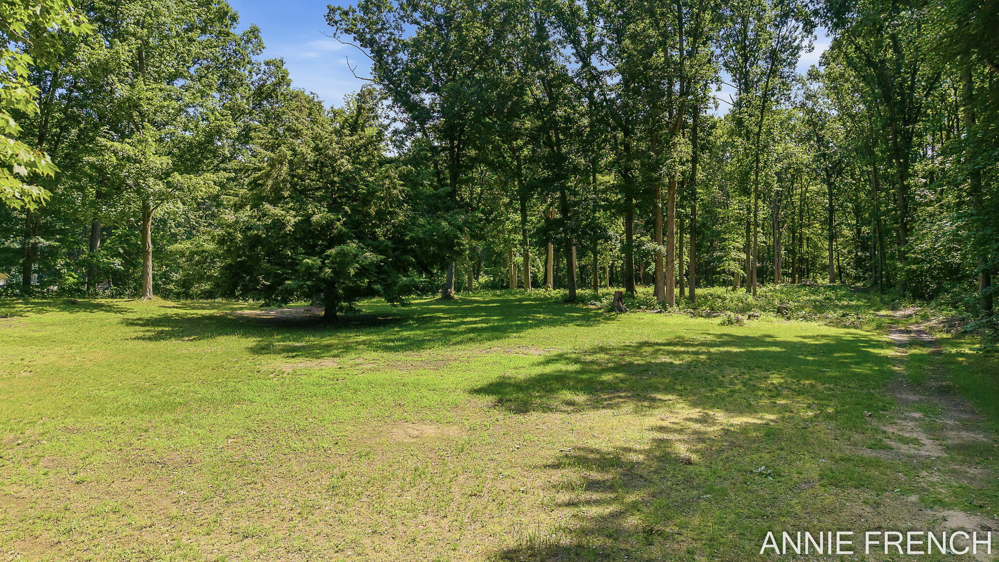 1375 56th Street Fennville MI 49408