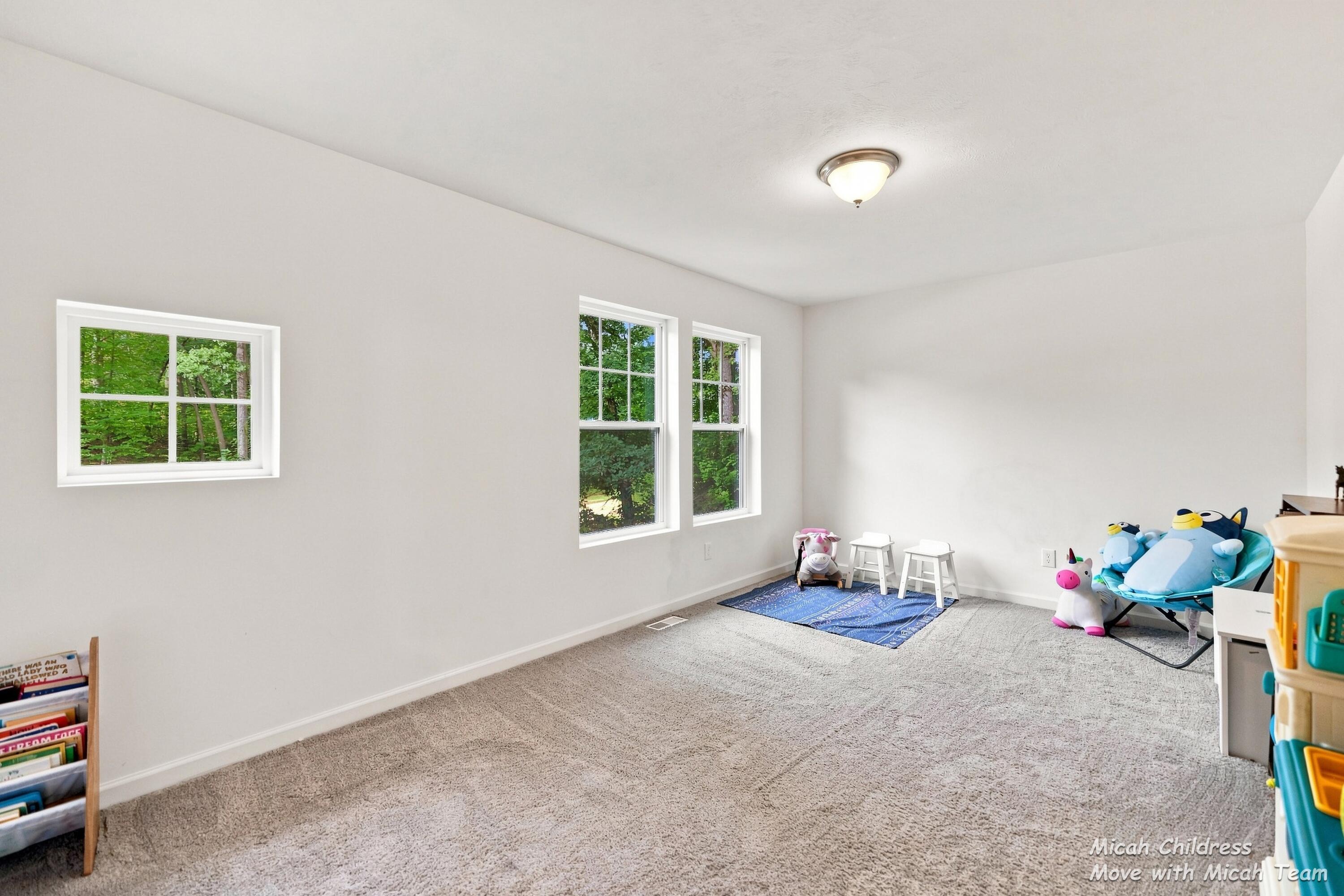 3813 Ryan Woods Circle Allegan MI 49010