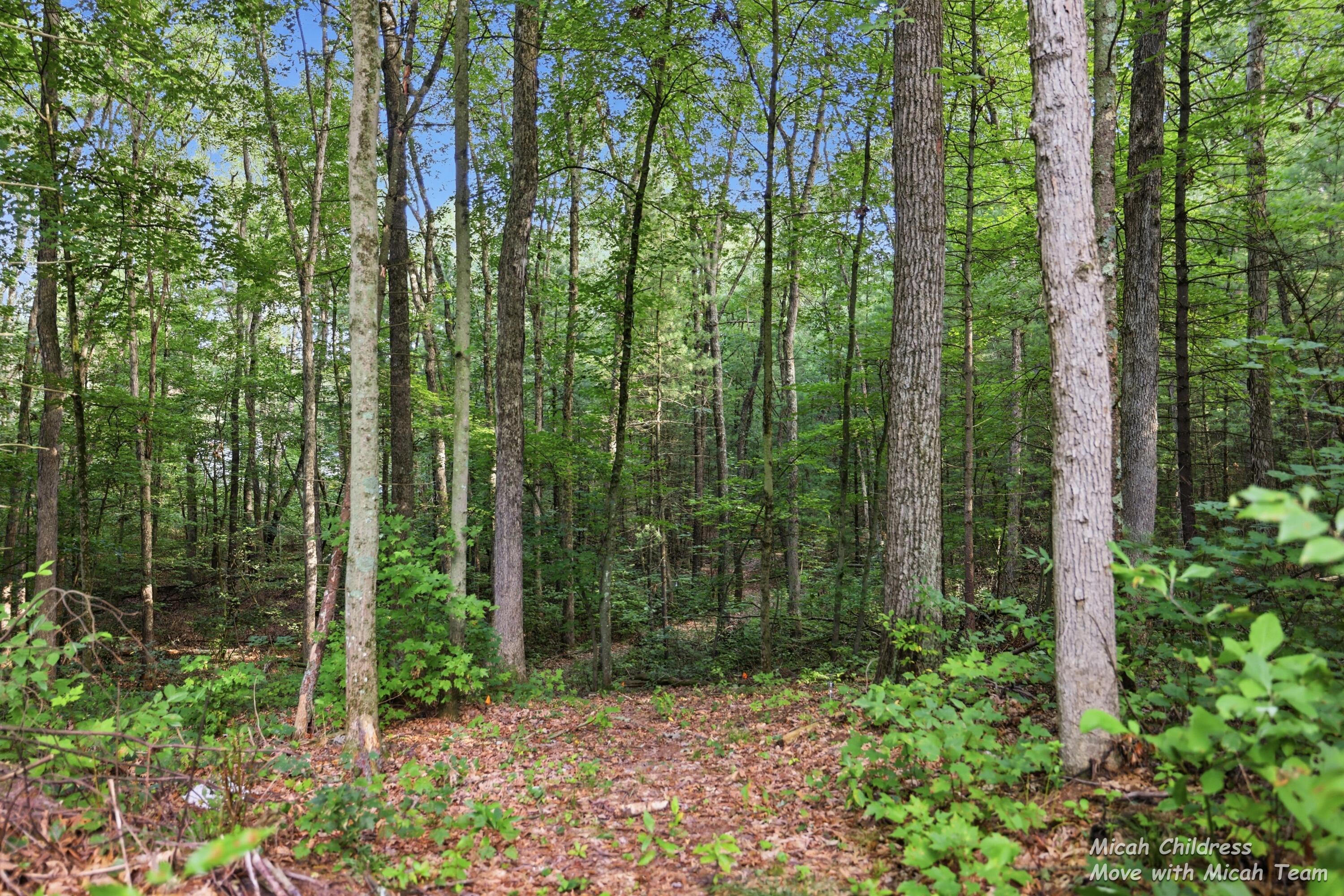 3813 Ryan Woods Circle Allegan MI 49010