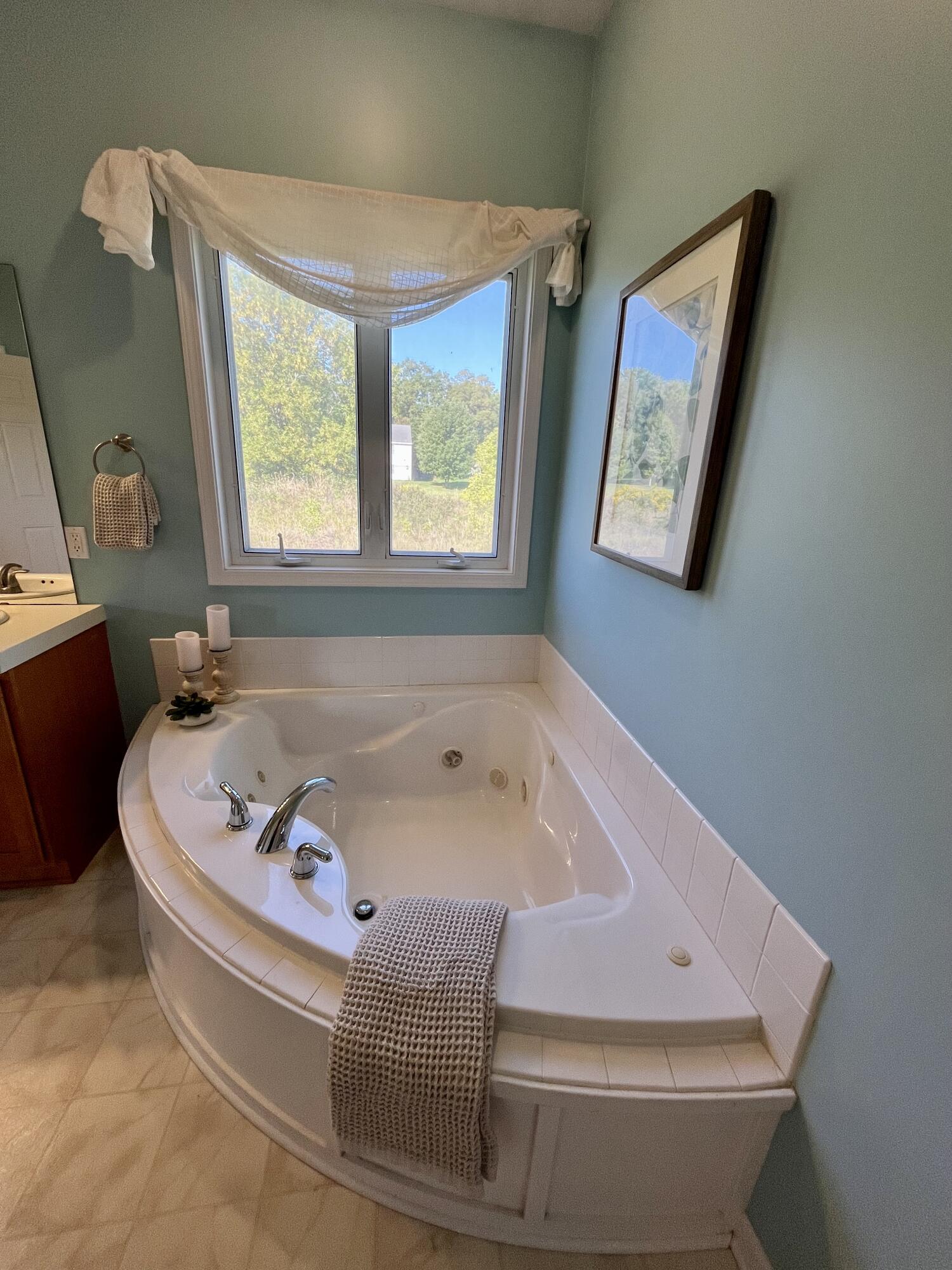 8866 Cascade Road SE Ada MI 49301