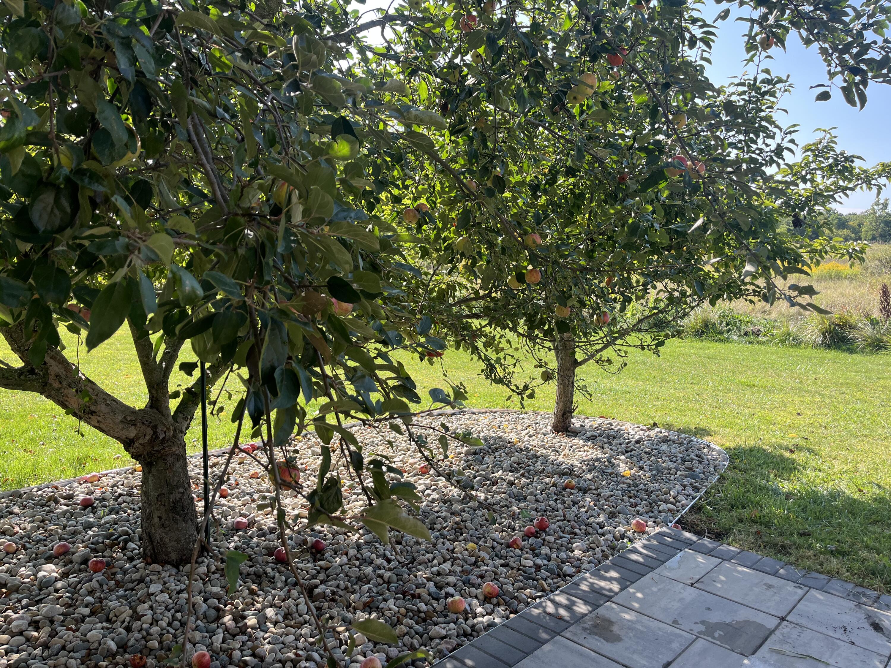 8866 Cascade Road SE Ada MI 49301