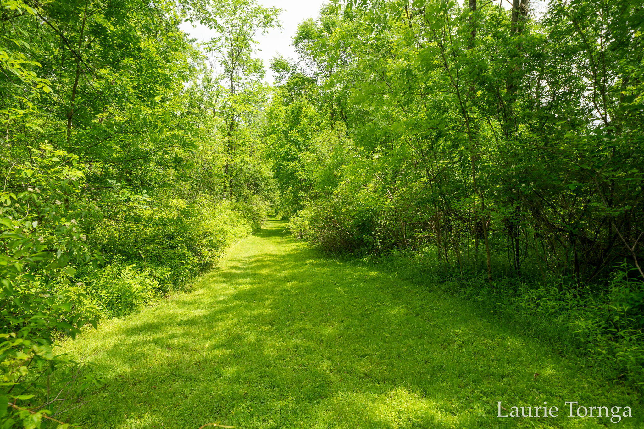 2670 Grand River Drive NE Grand Rapids MI 49525