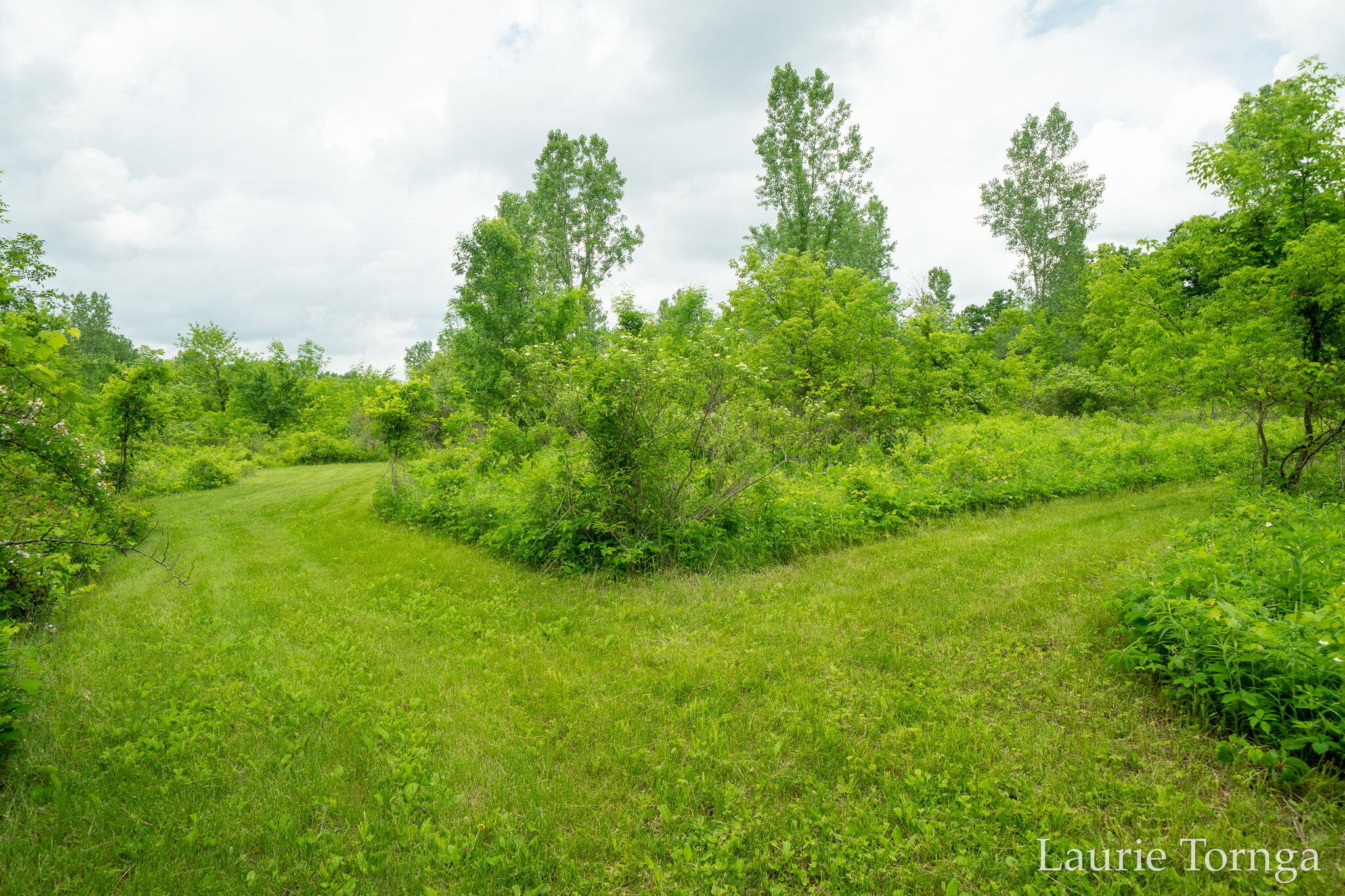 2670 Grand River Drive NE Grand Rapids MI 49525