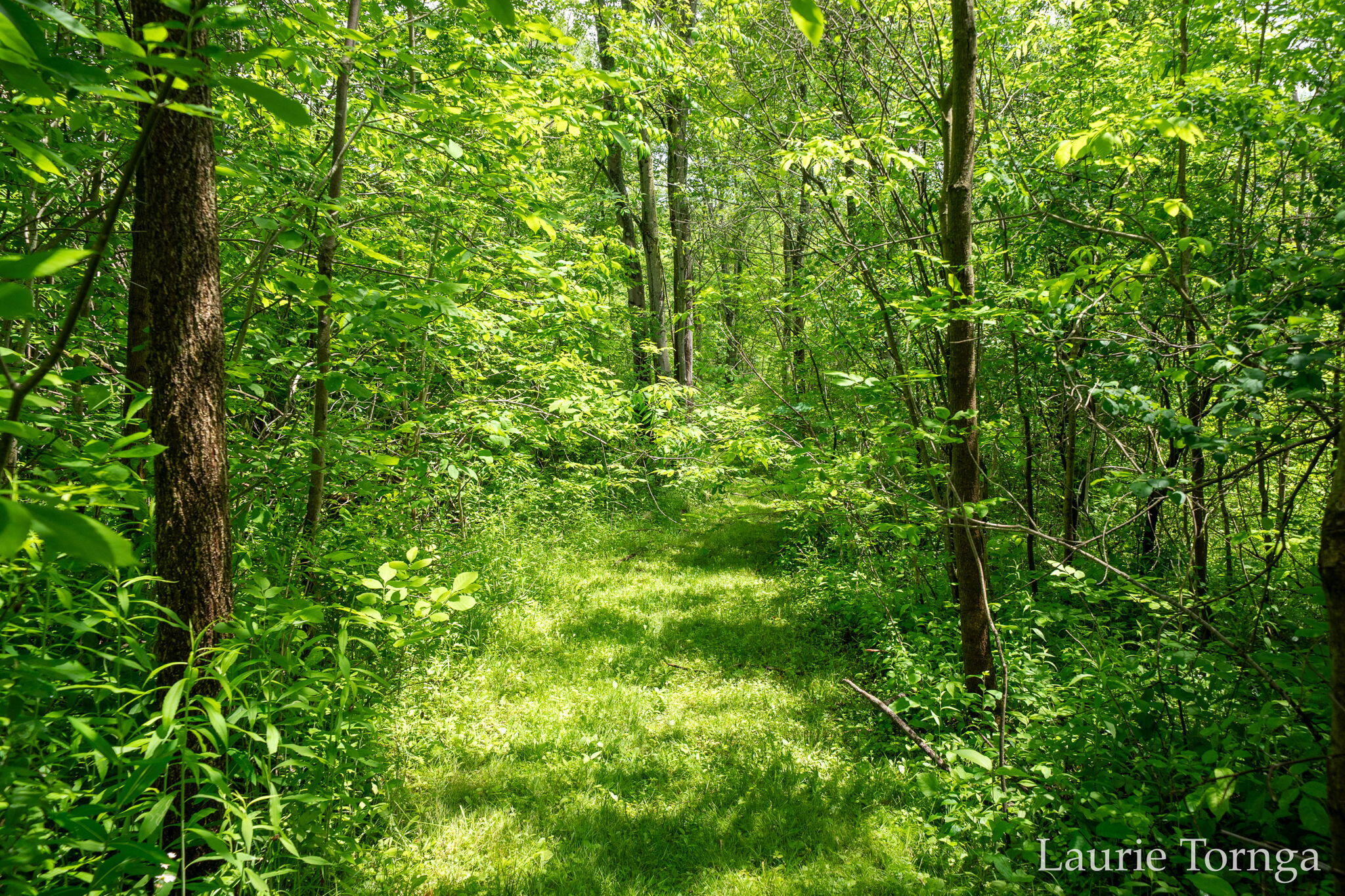 2670 Grand River Drive NE Grand Rapids MI 49525