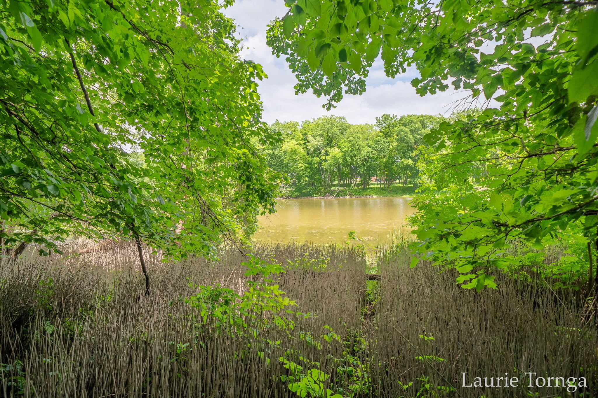 2670 Grand River Drive NE Grand Rapids MI 49525