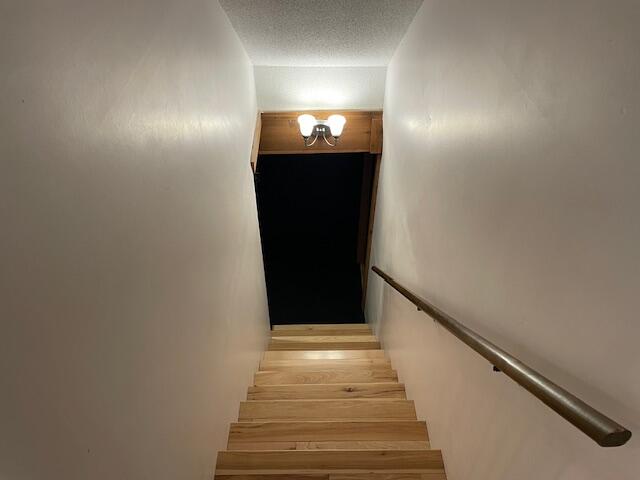 16183 Red Pine Court Holland MI 49424