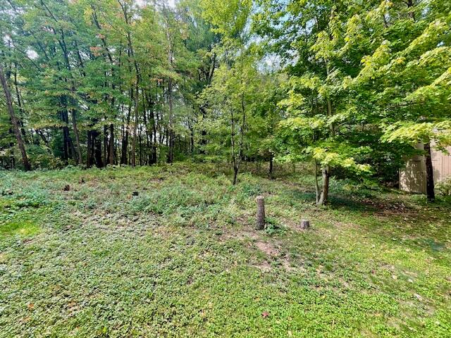 16183 Red Pine Court Holland MI 49424