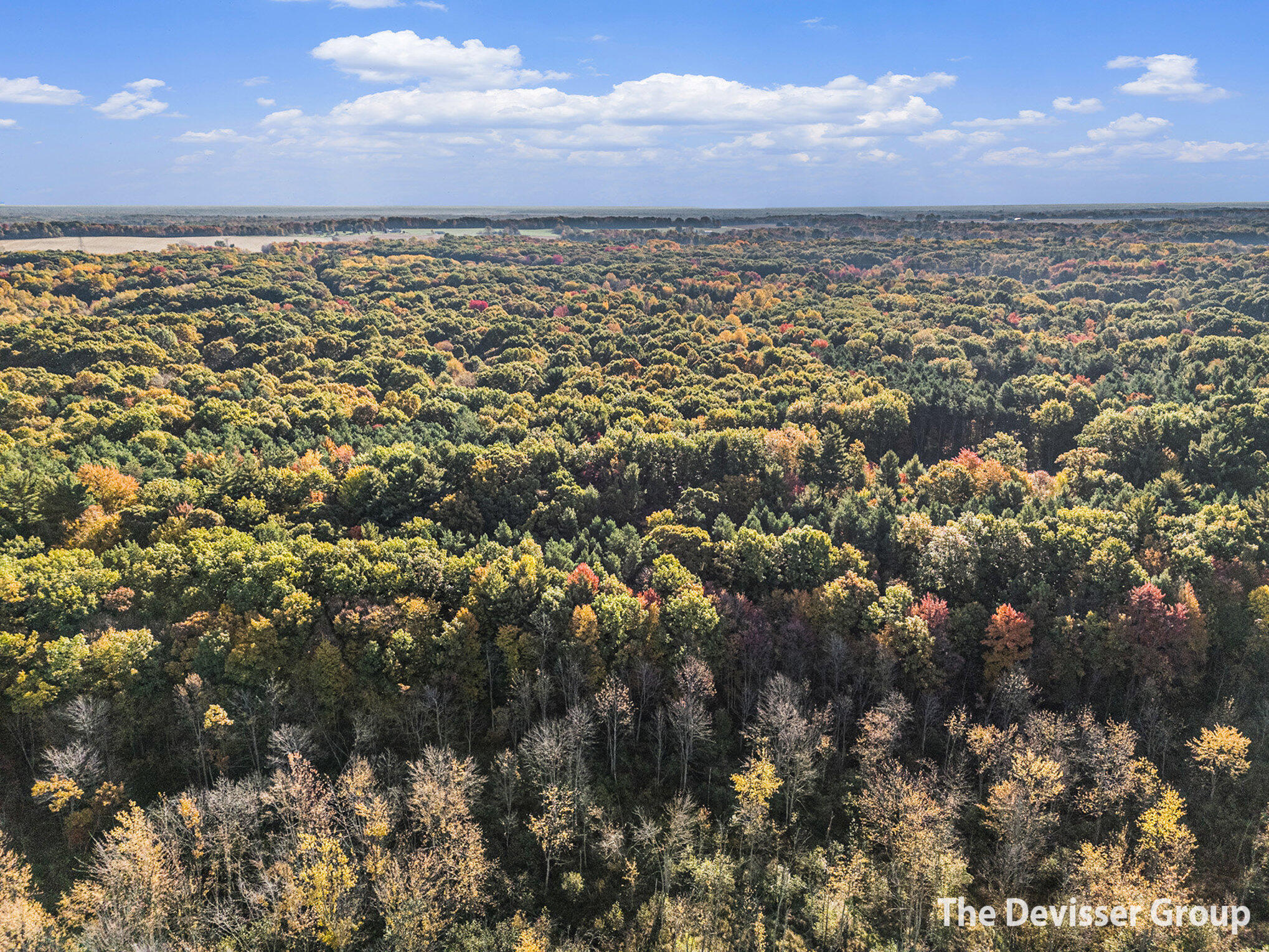 5837 Timber Bluff Trail Fennville MI 49408
