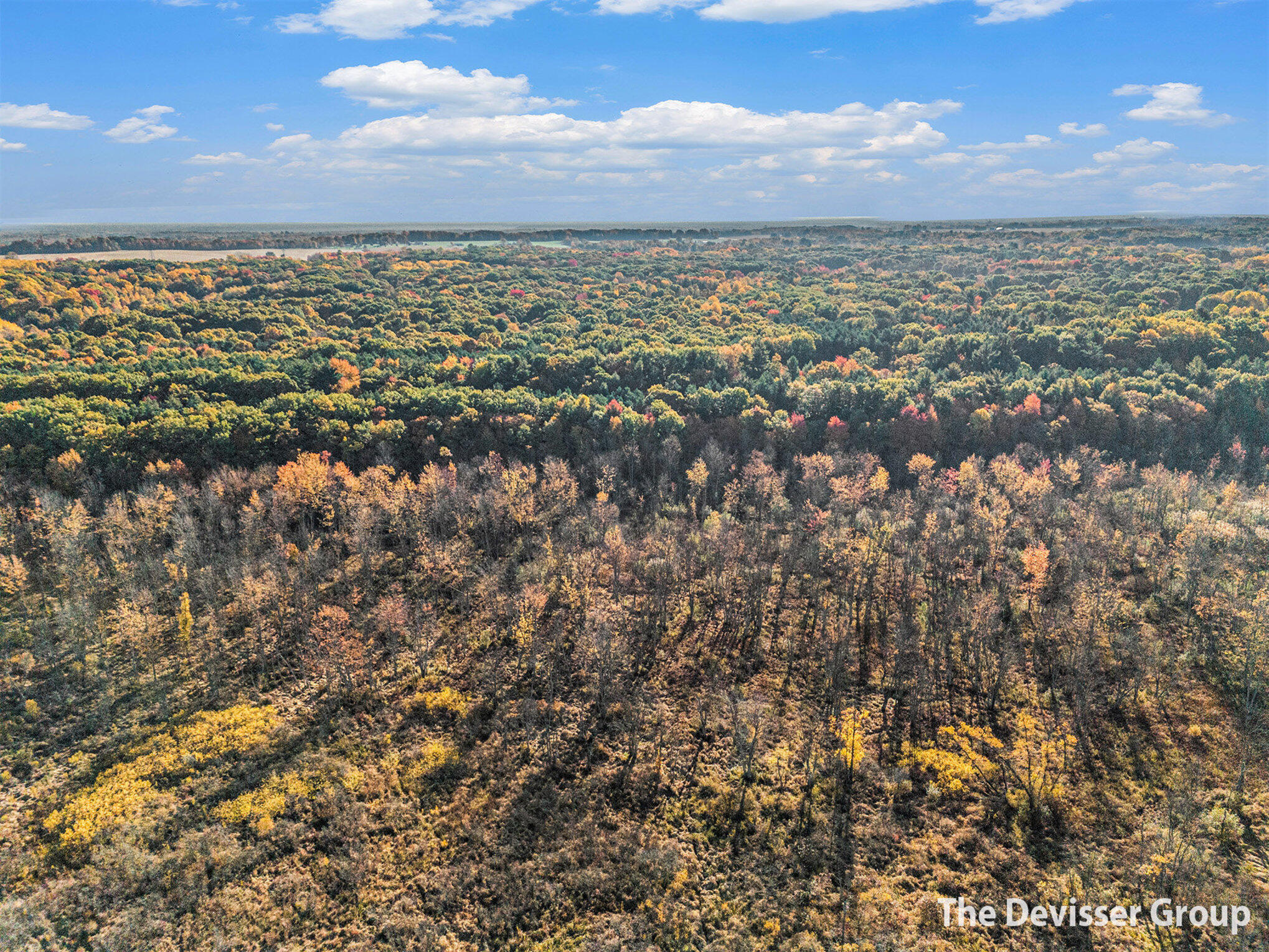 5837 Timber Bluff Trail Fennville MI 49408