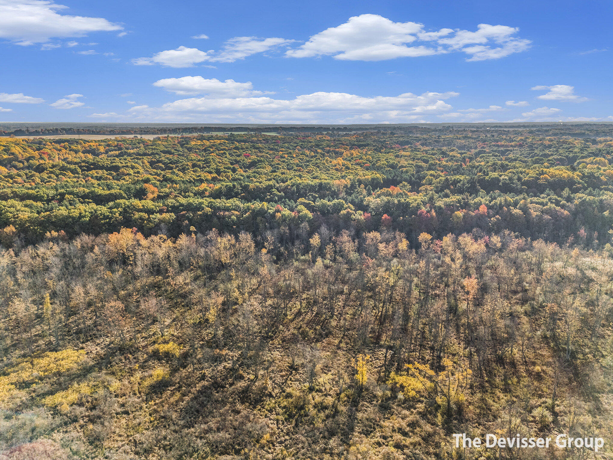 5837 Timber Bluff Trail Fennville MI 49408
