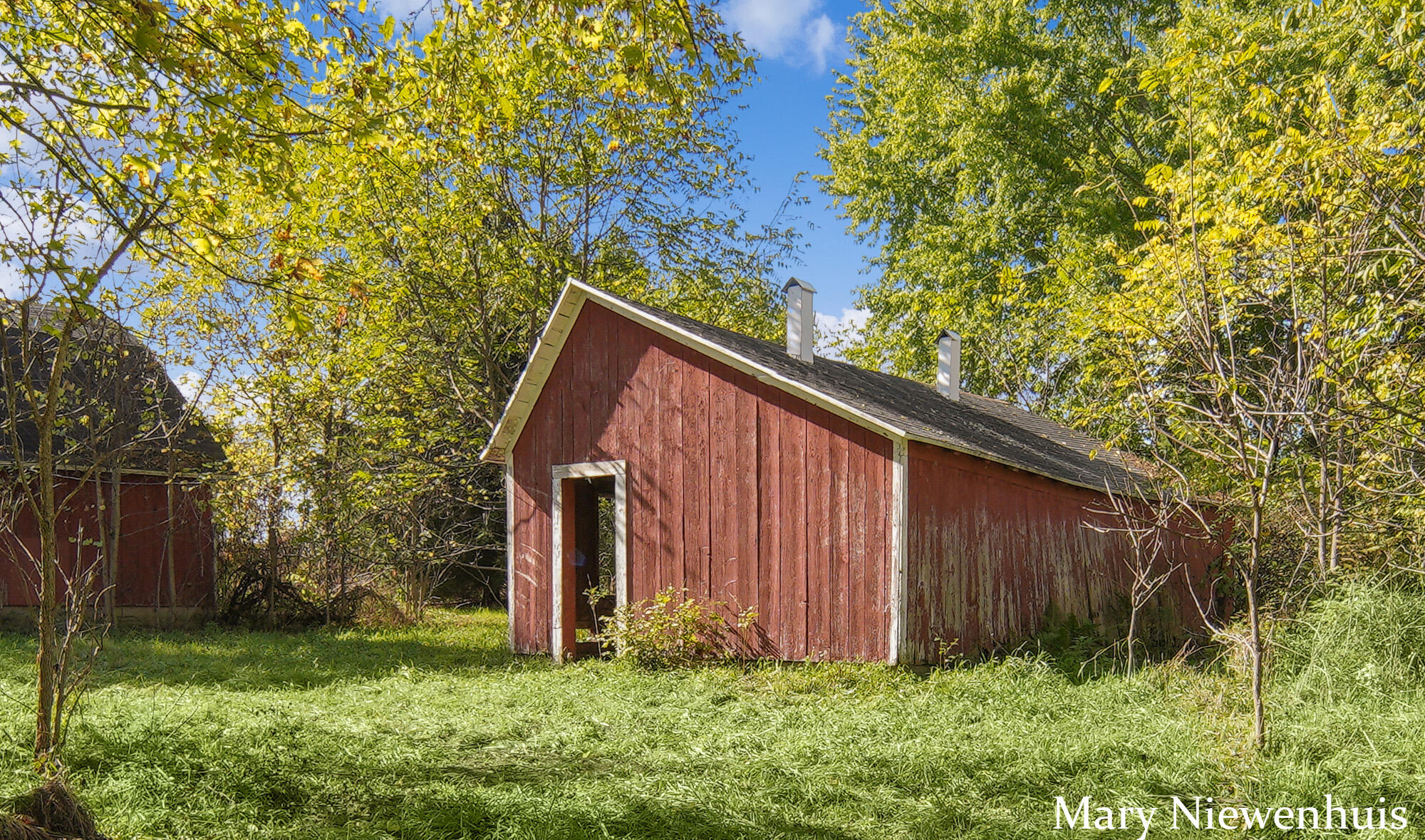 10652 Nugent Avenue NE Rockford MI 49341
