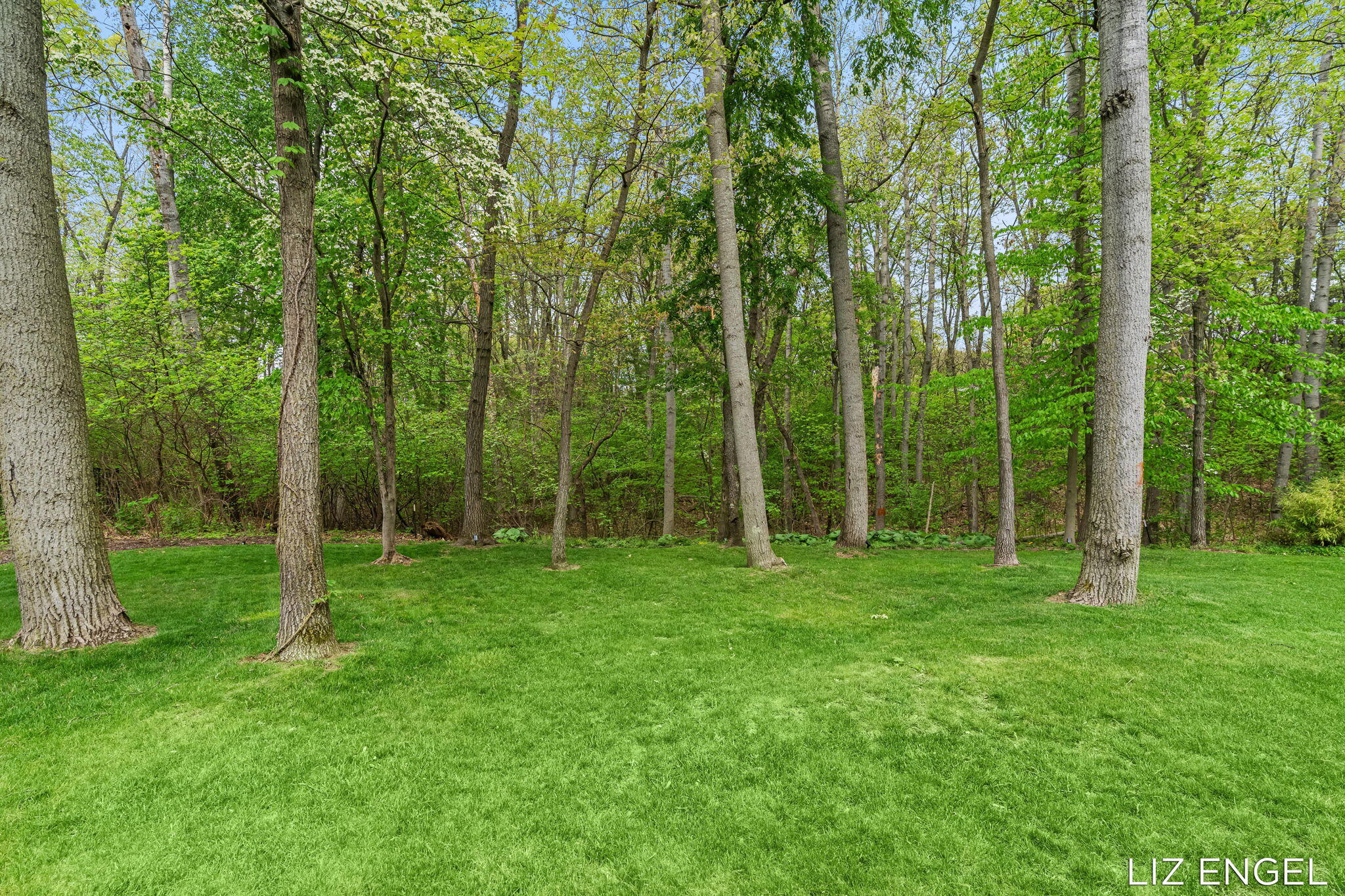 3190 Light House Way Saugatuck MI 49453