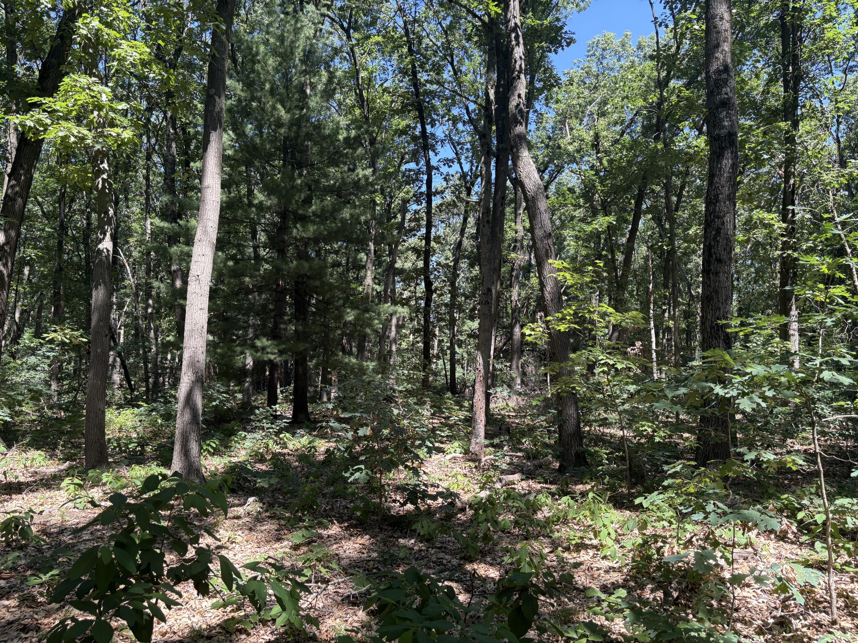 575 S Wolf Lake Road Muskegon MI 49442