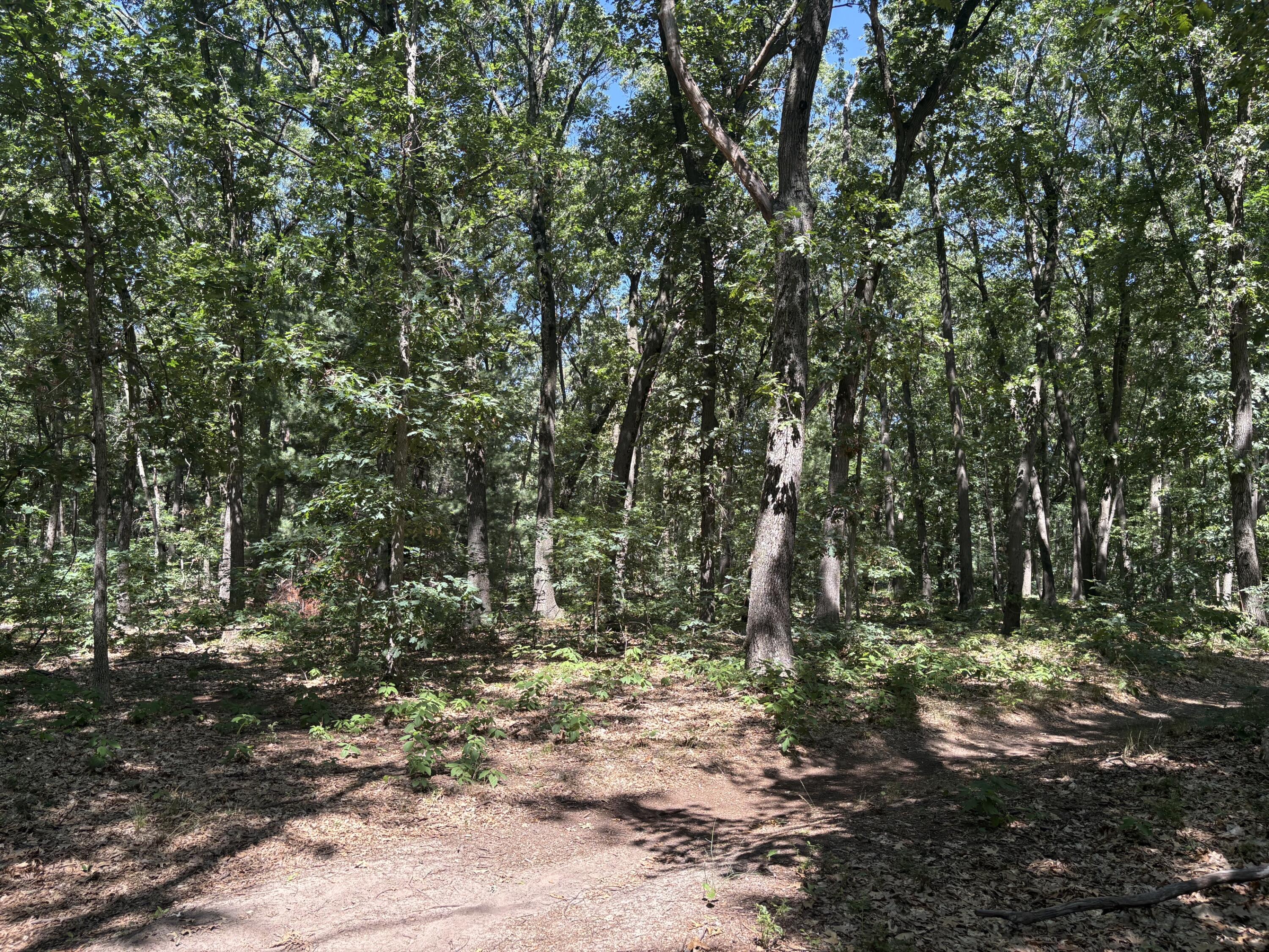 575 S Wolf Lake Road Muskegon MI 49442