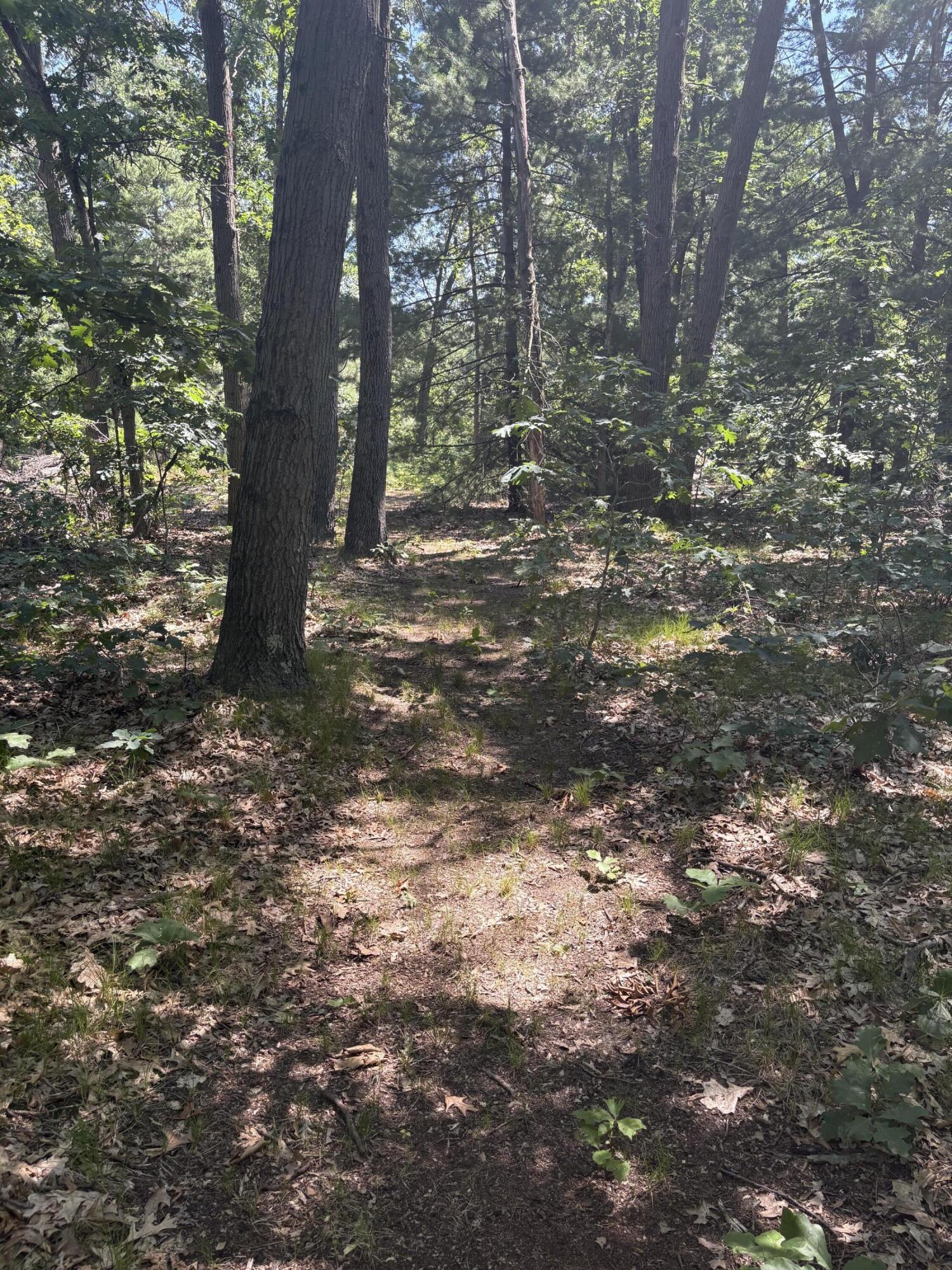 575 S Wolf Lake Road Muskegon MI 49442