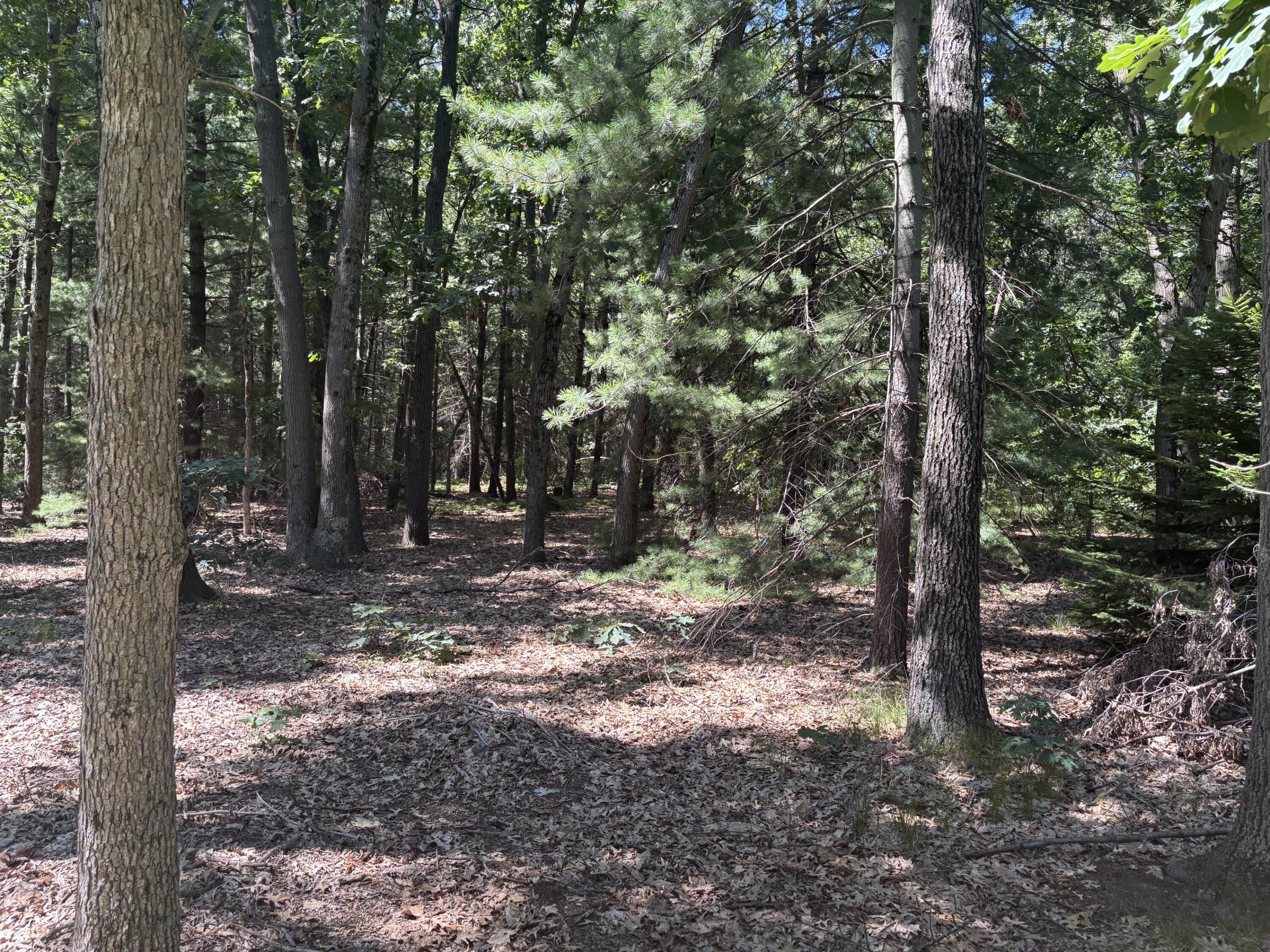 575 S Wolf Lake Road Muskegon MI 49442