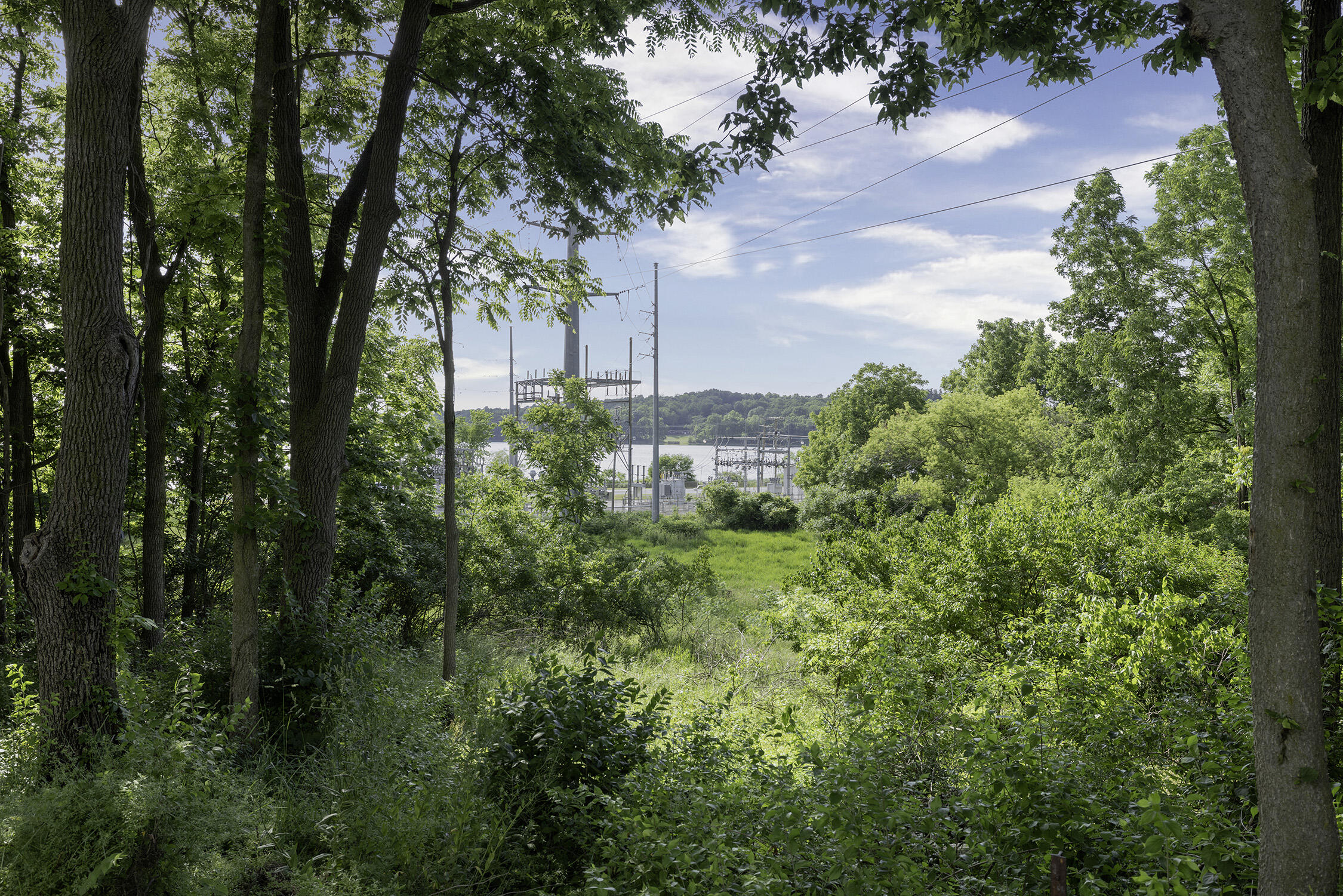 123 Hilltop Lane Cassopolis MI 49031