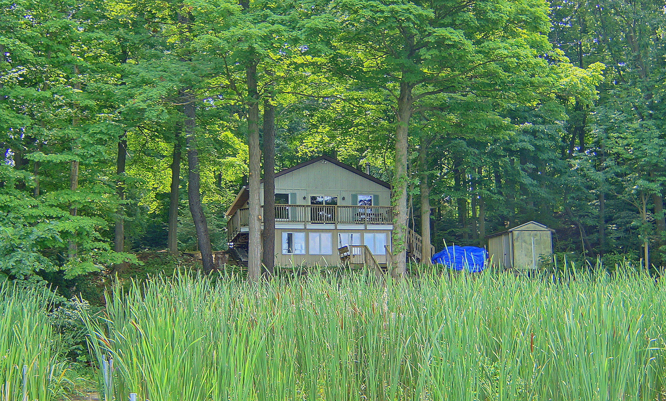 10749 Kings Lane Berrien Springs MI 49103