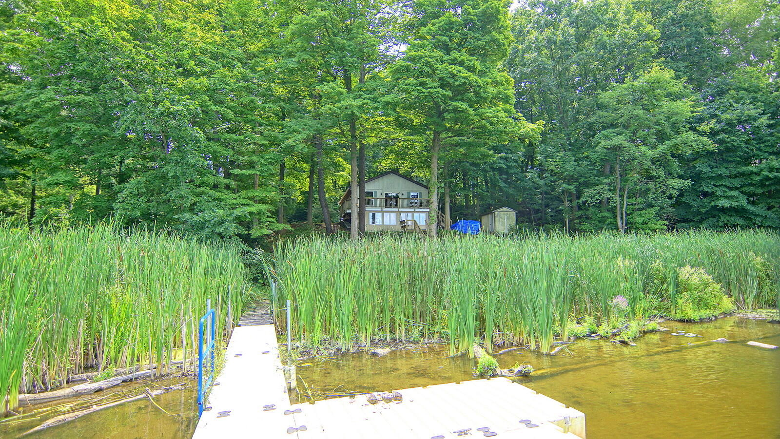 10749 Kings Lane Berrien Springs MI 49103