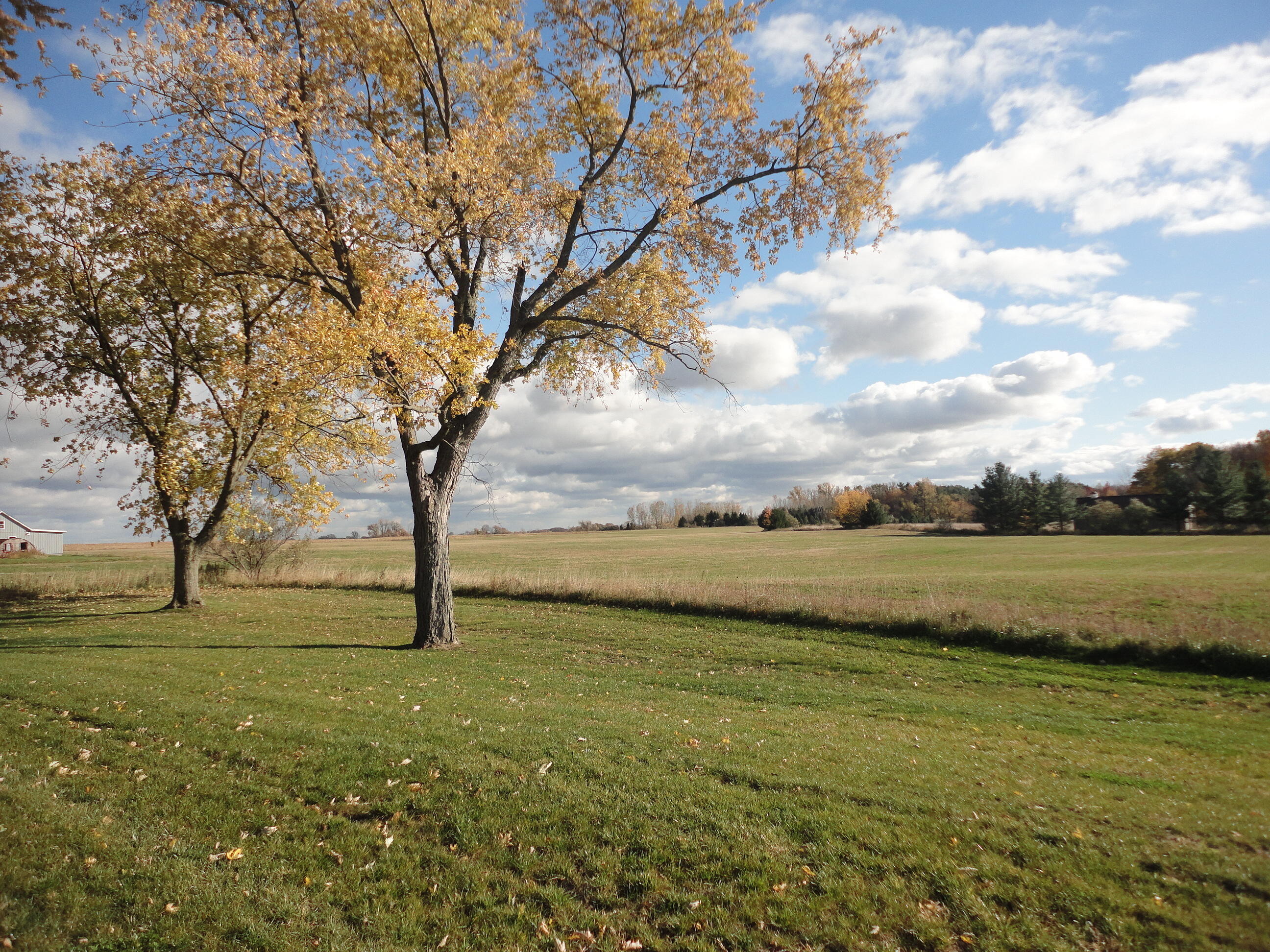 5994 136th Avenue Holland MI 49423