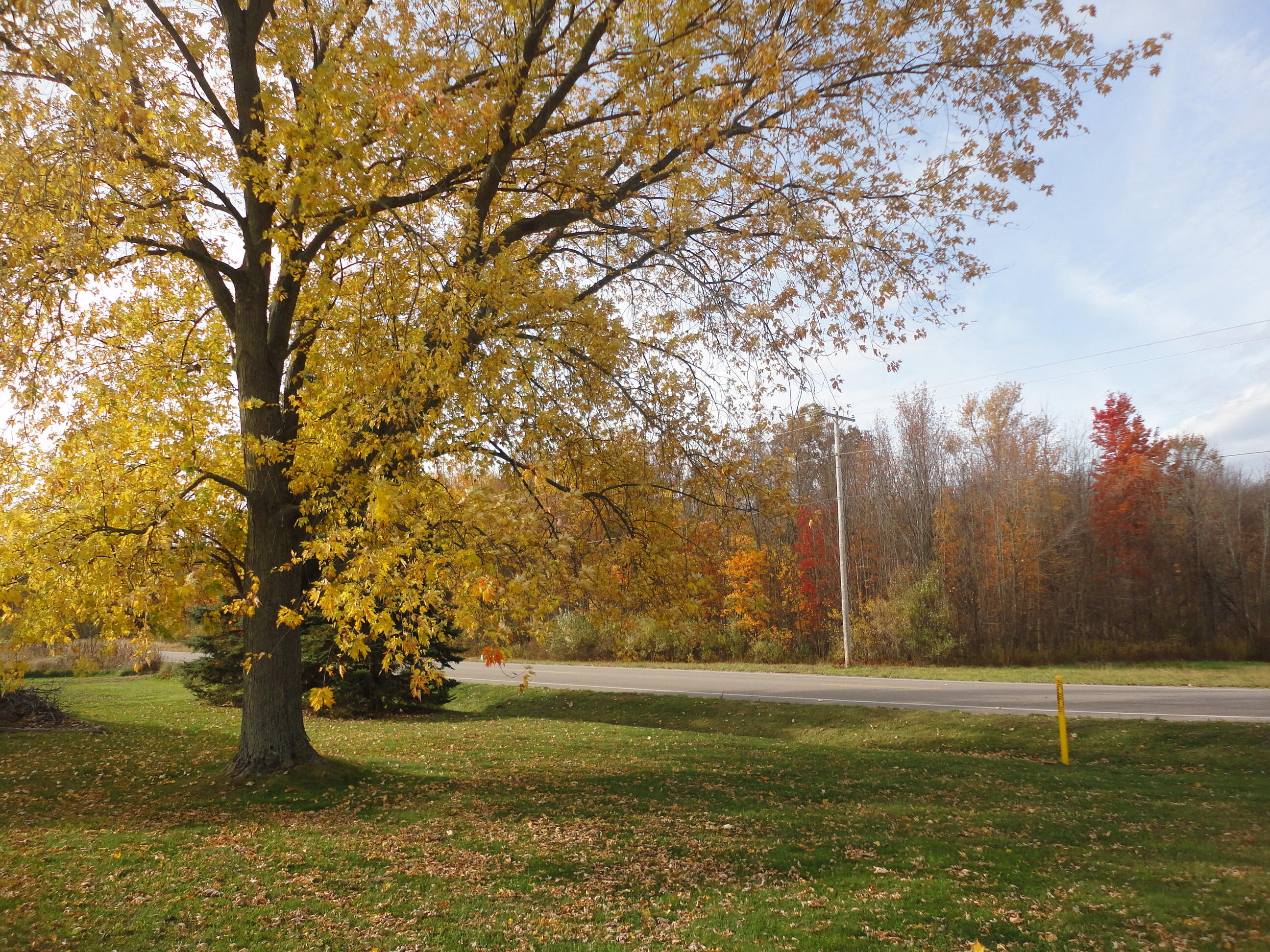 5994 136th Avenue Holland MI 49423