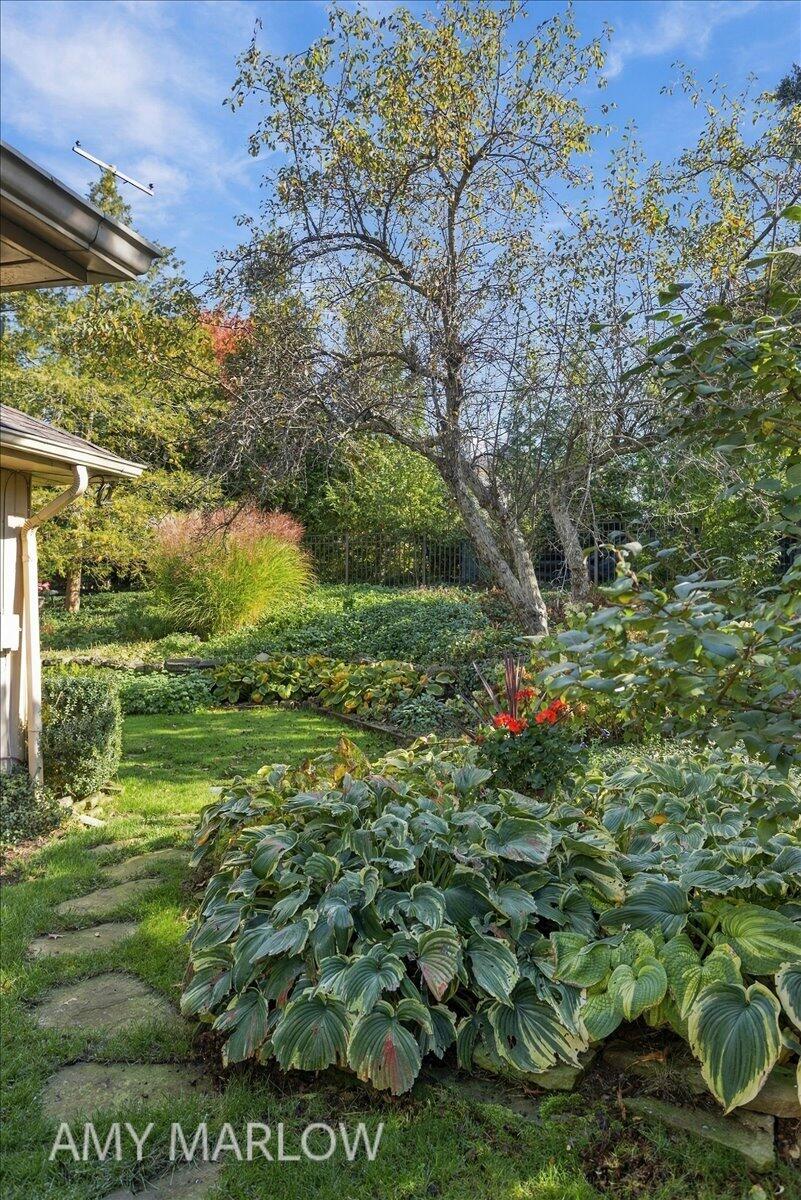 1424 Sherwood Avenue SE East Grand Rapids MI 49506