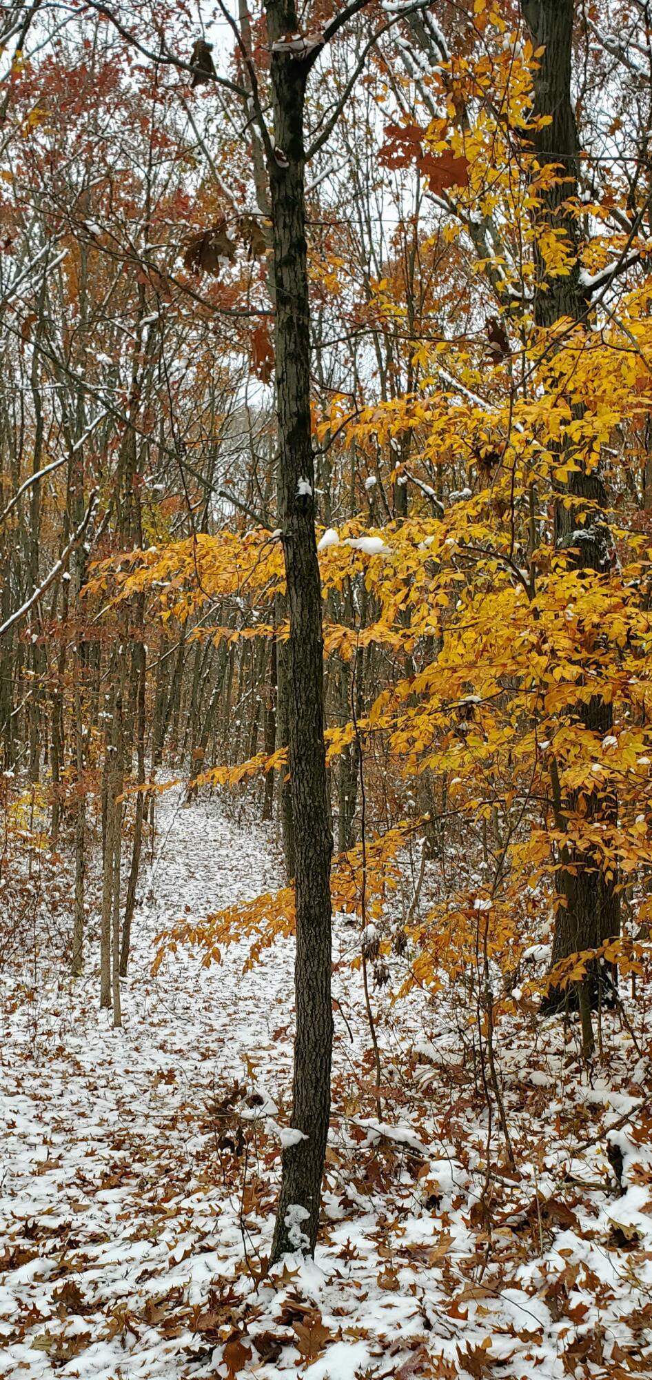 3821 118th Avenue Allegan MI 49010