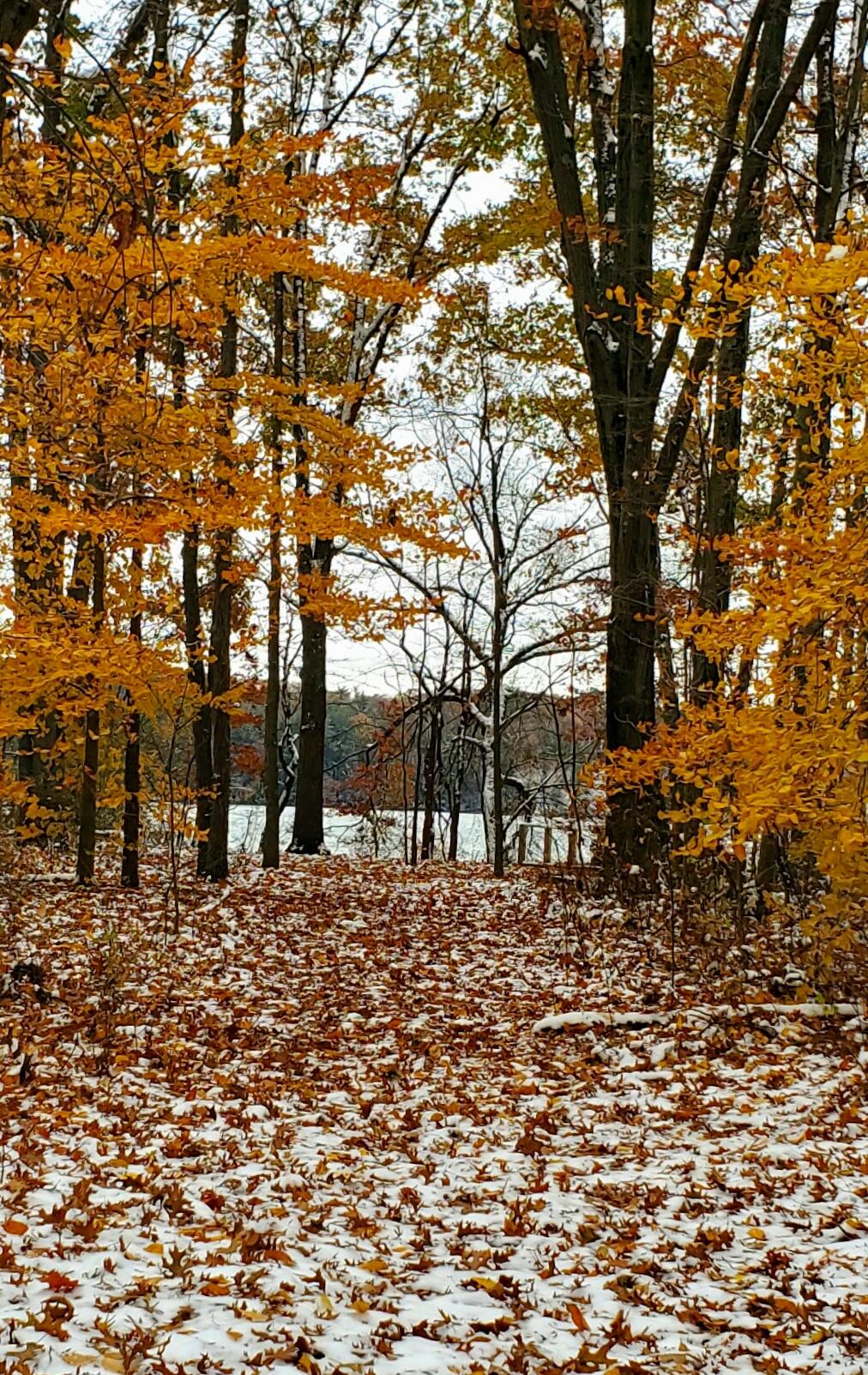 3821 118th Avenue Allegan MI 49010