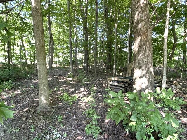 4084 Hartman Road Sodus MI 49126