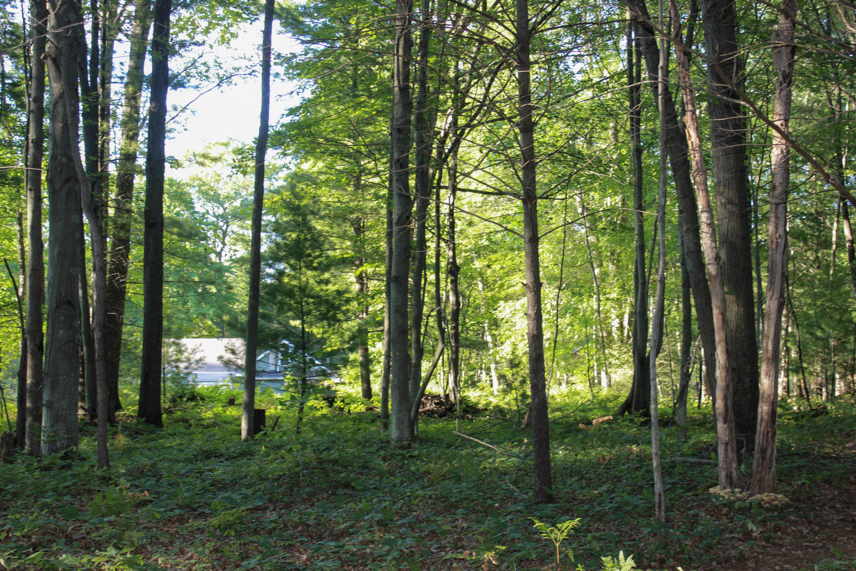 3429 W Giles Road Muskegon MI 49445