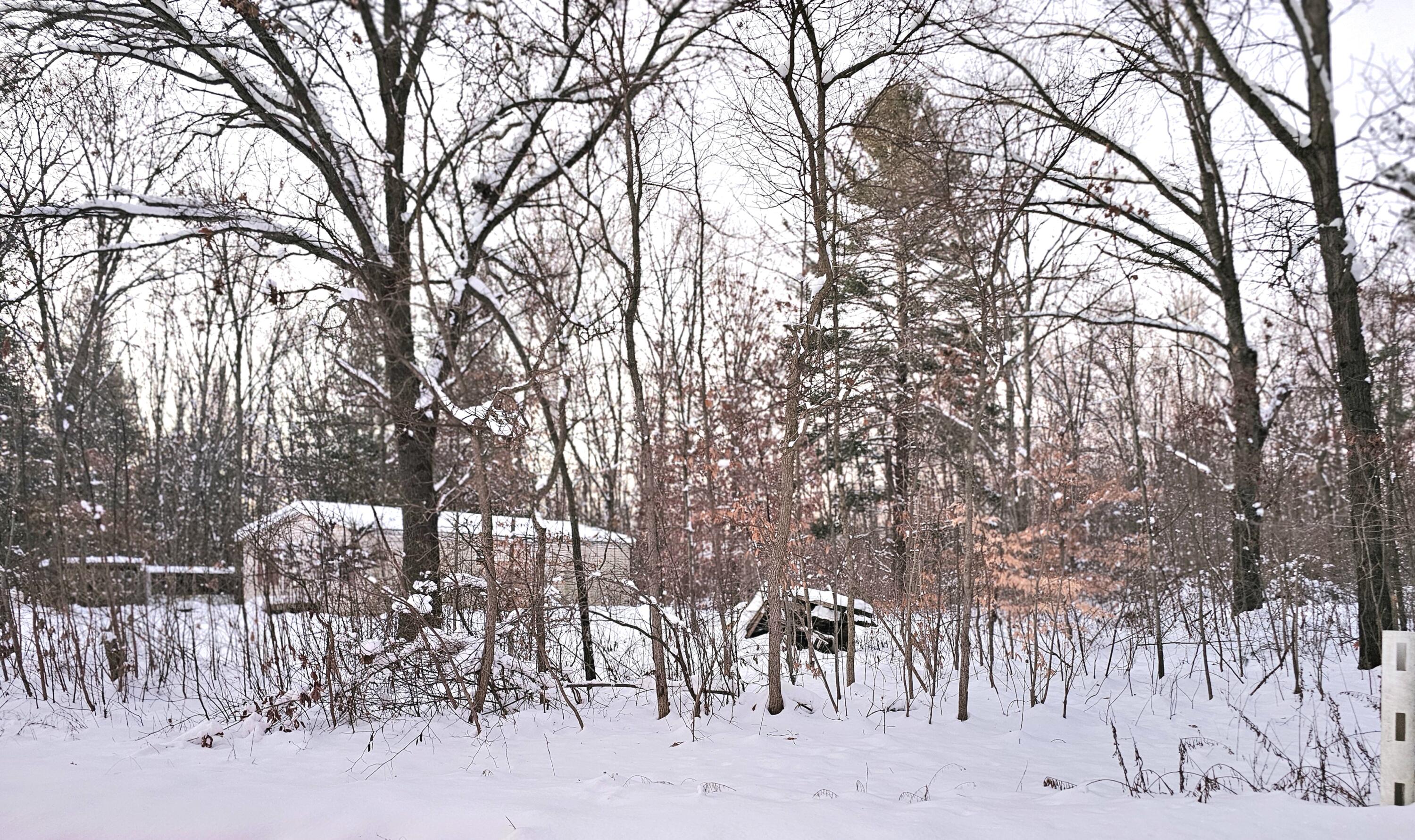 3029 Primrose Place Allegan MI 49010