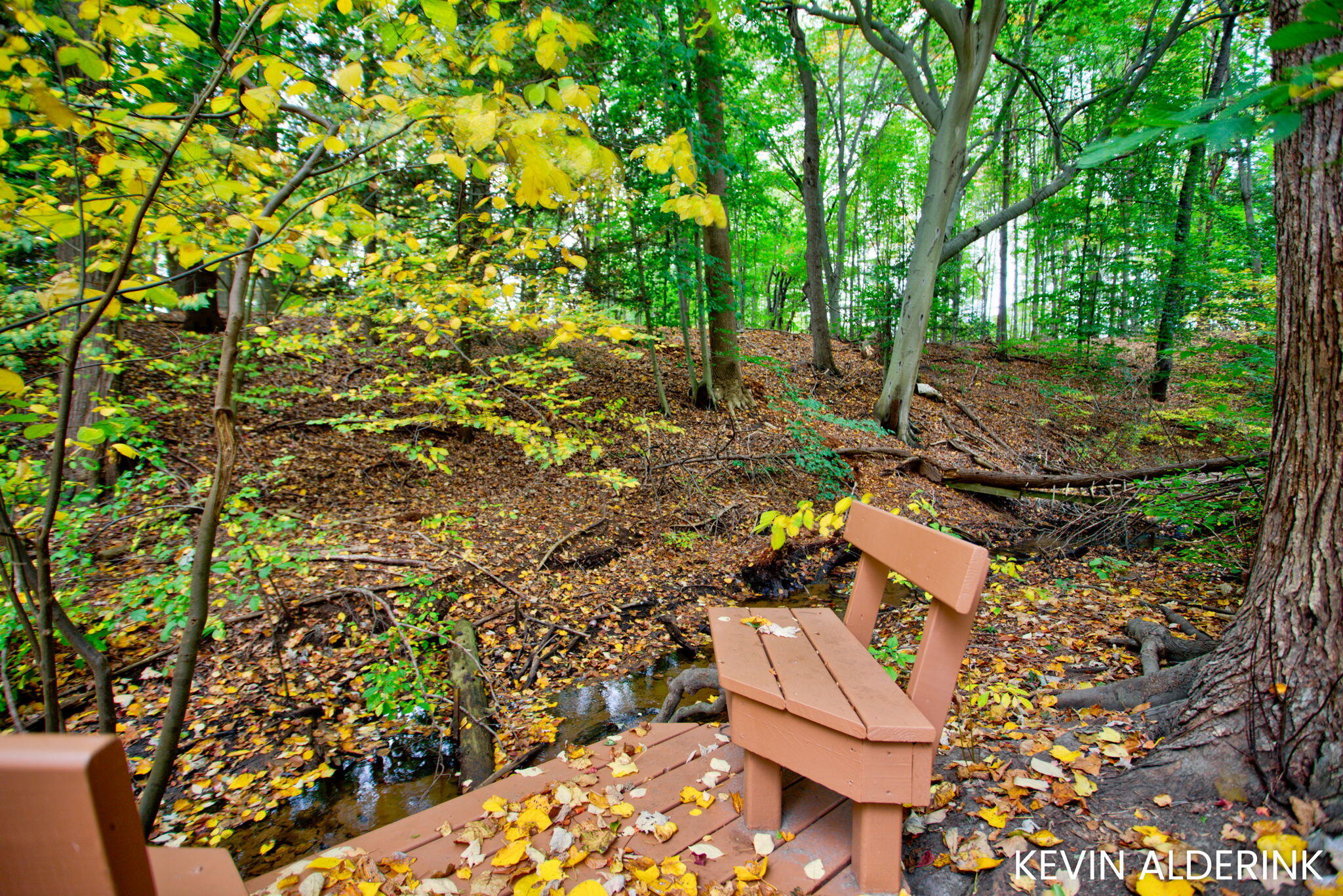 14688 Creek Edge Drive Holland MI 49424