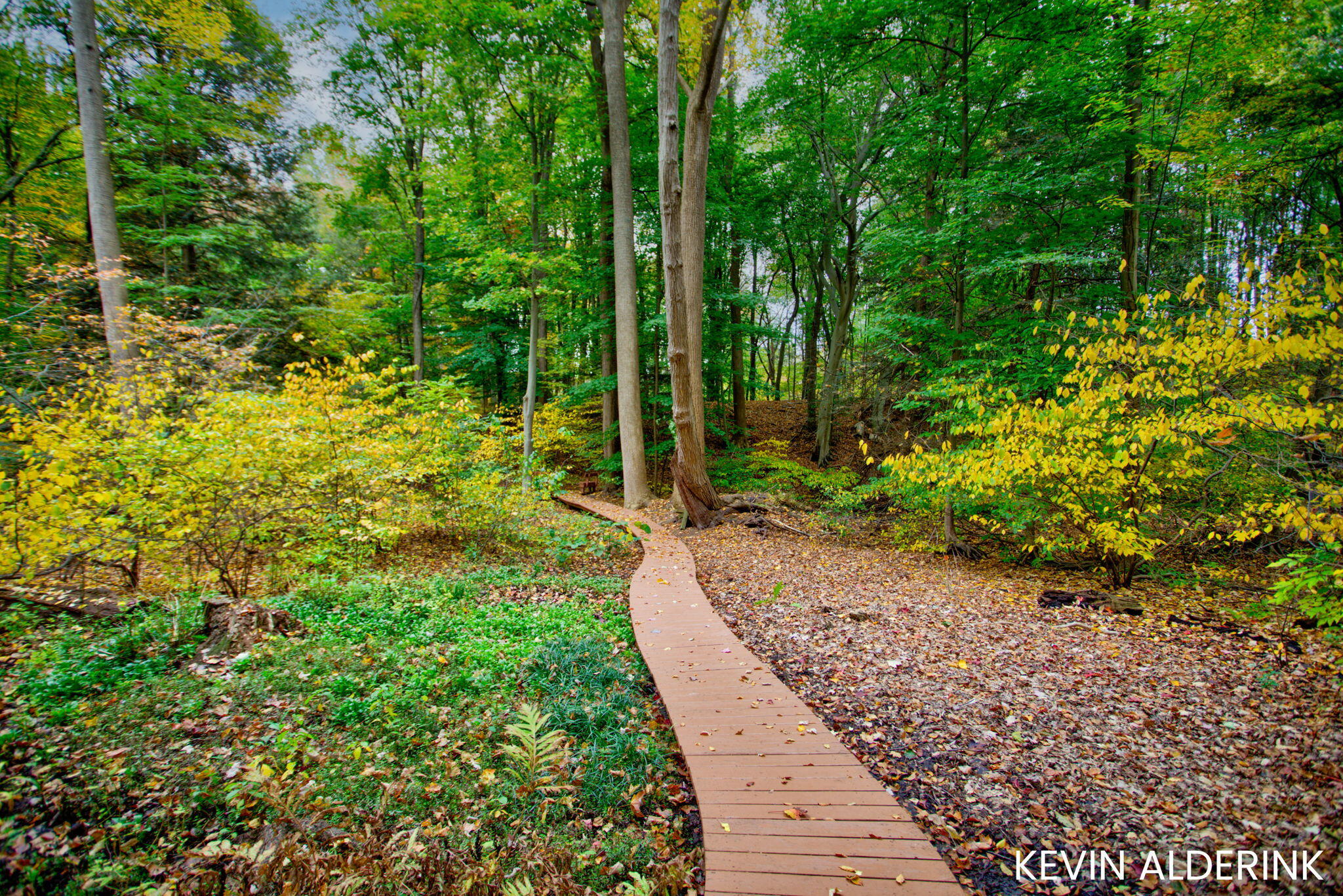 14688 Creek Edge Drive Holland MI 49424