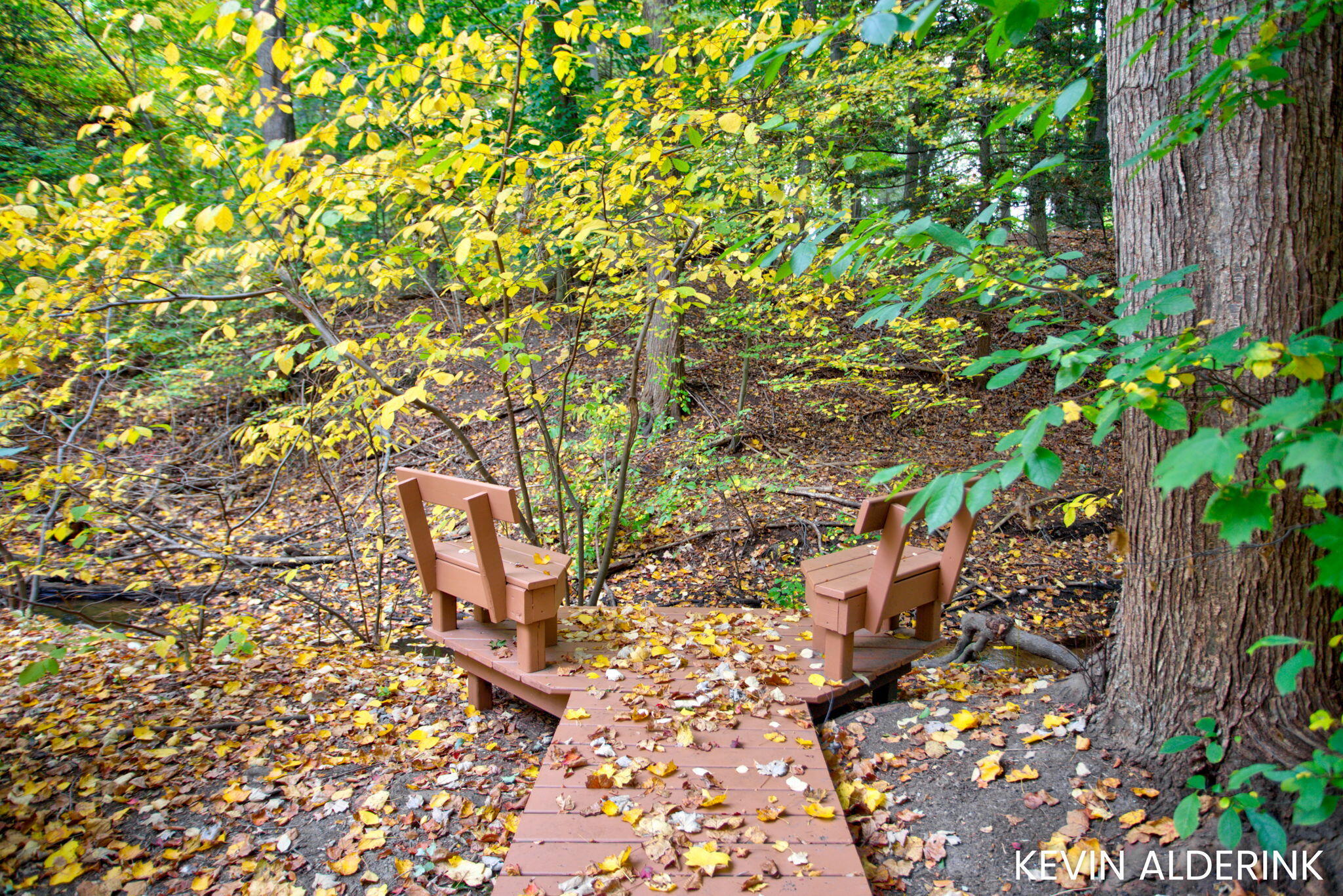 14688 Creek Edge Drive Holland MI 49424