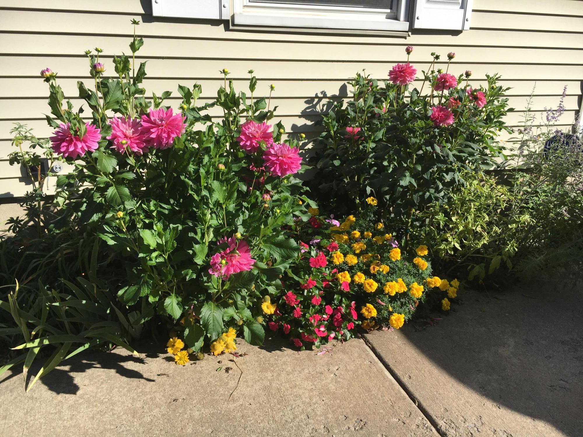 246 Alten Avenue NE Grand Rapids MI 49503