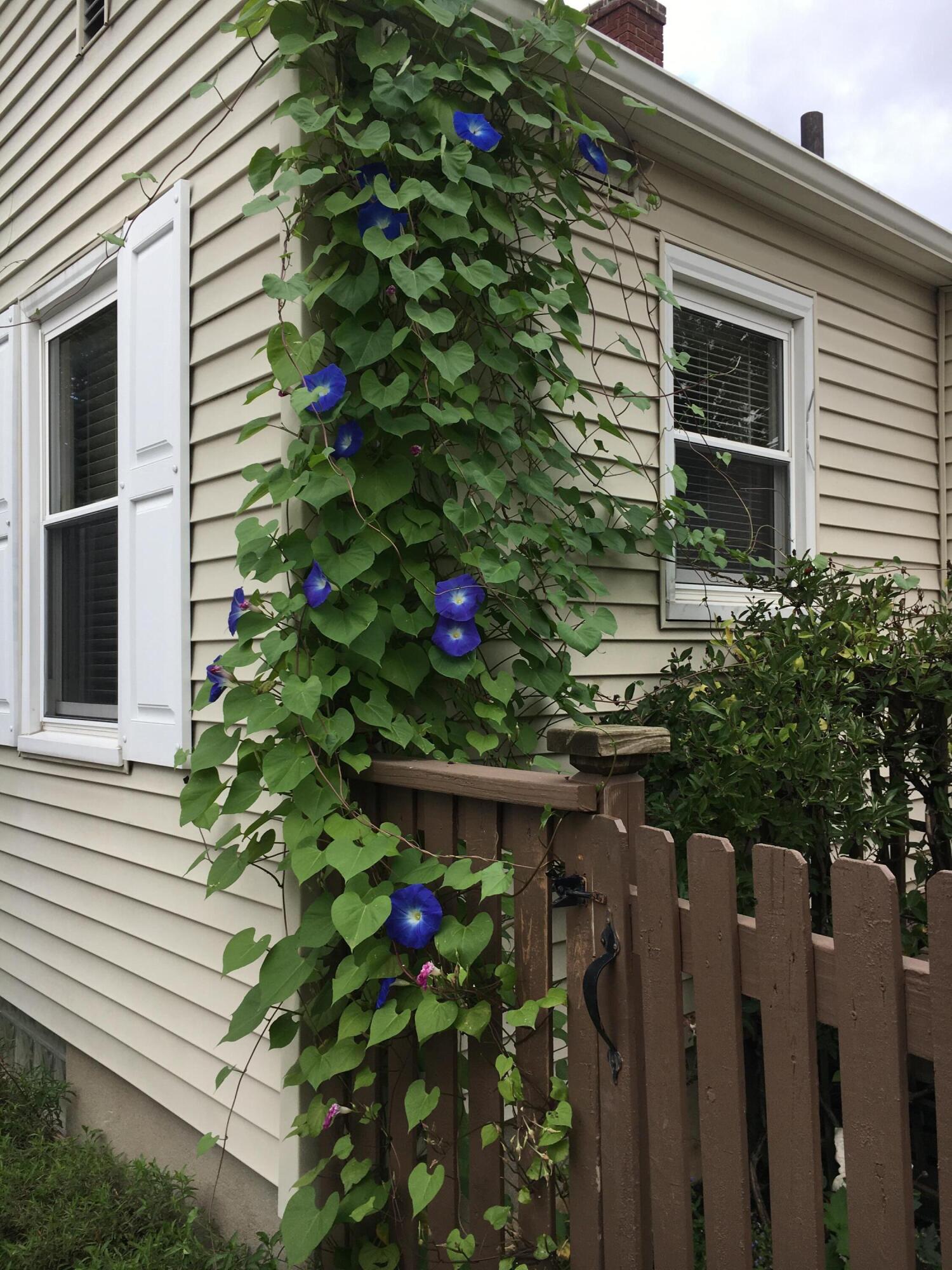 246 Alten Avenue NE Grand Rapids MI 49503