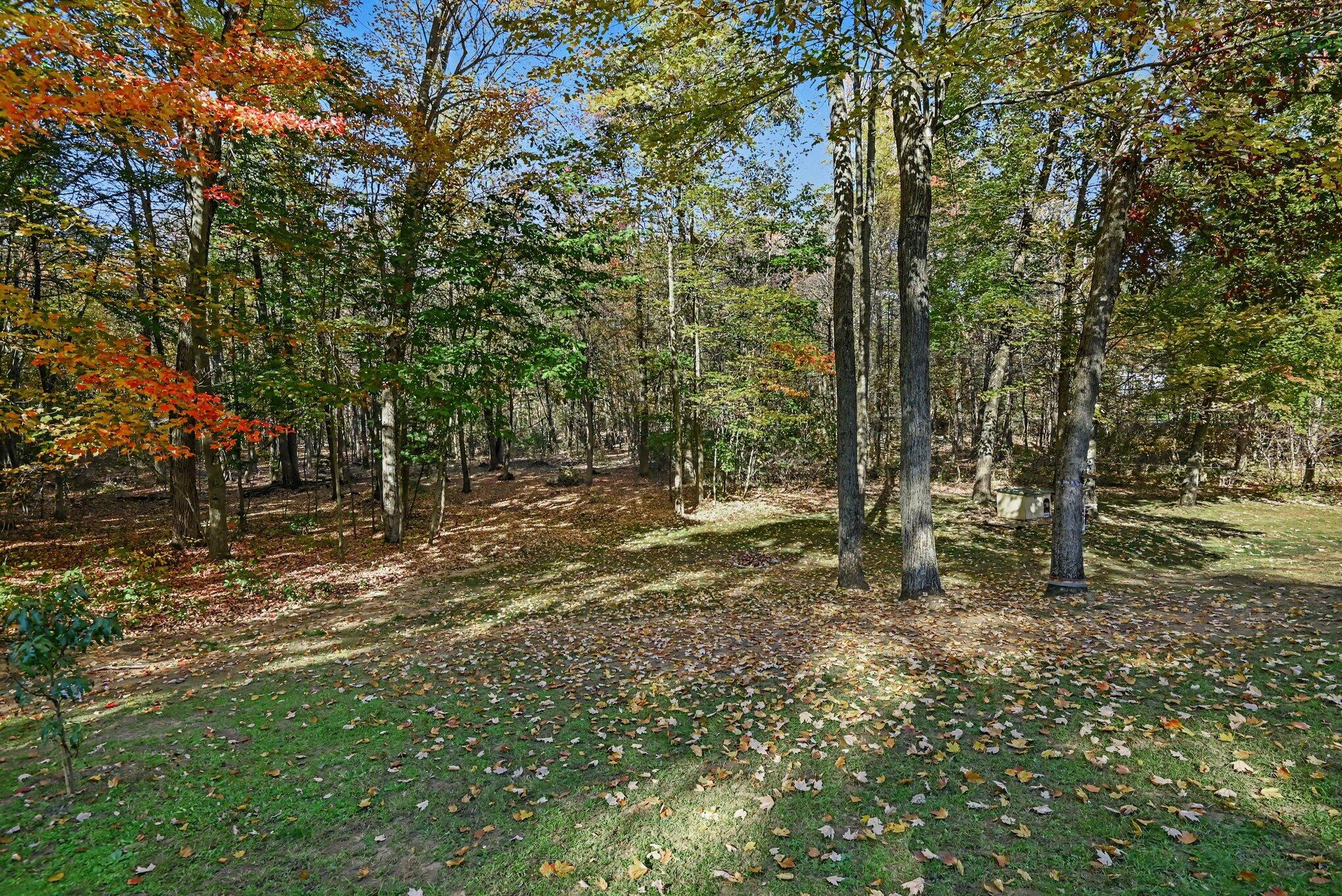 3456 Autumn Wood Drive Hamilton MI 49419