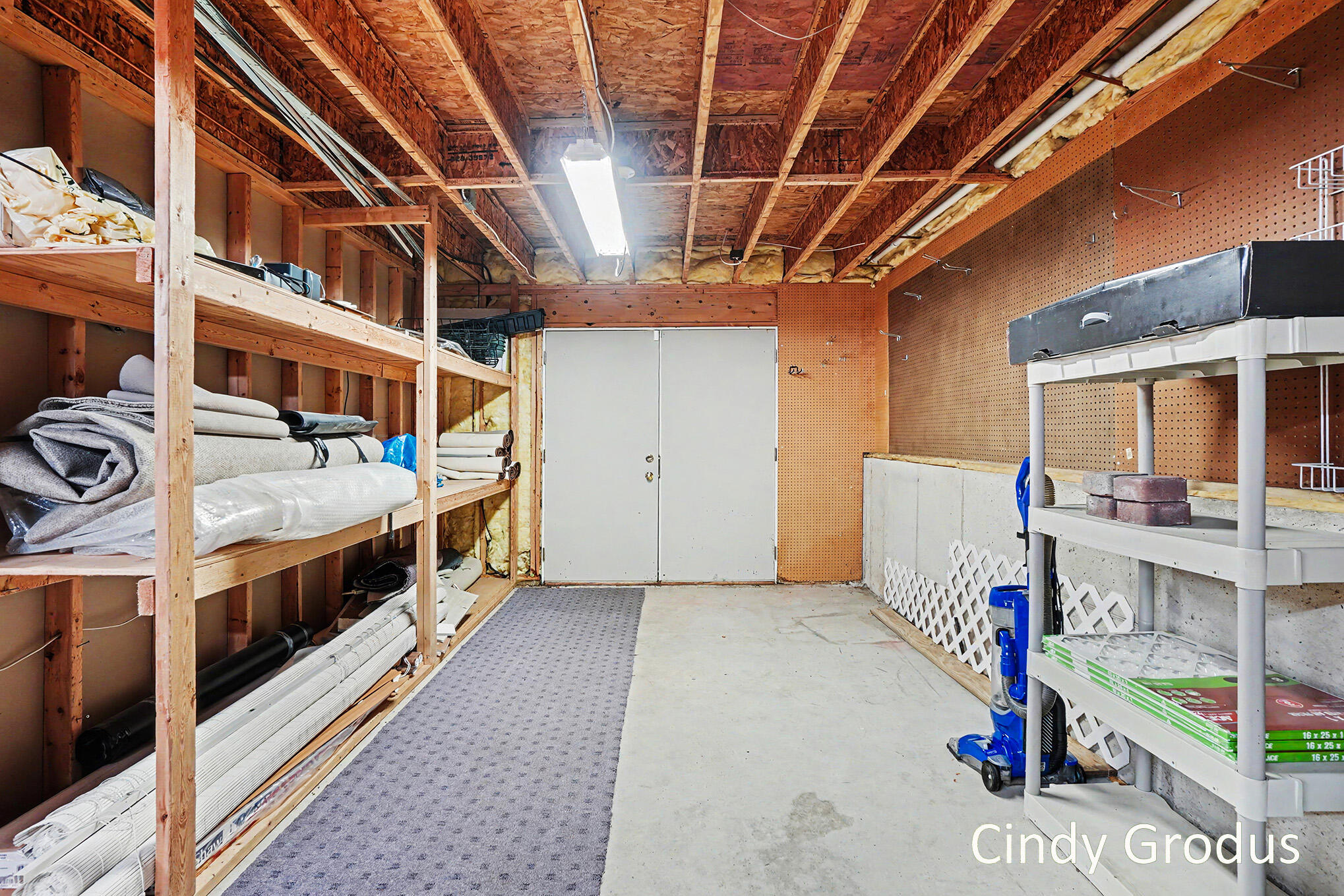 975 Bluff Lake Drive Zeeland MI 49464