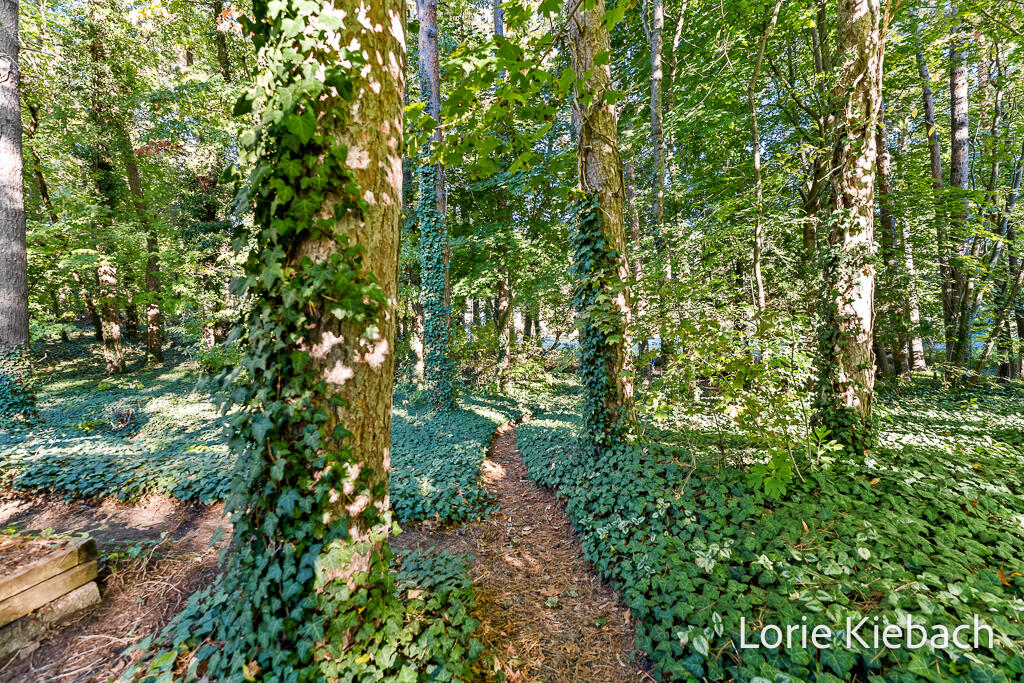 14666 Indian Trails Drive Grand Haven MI 49417