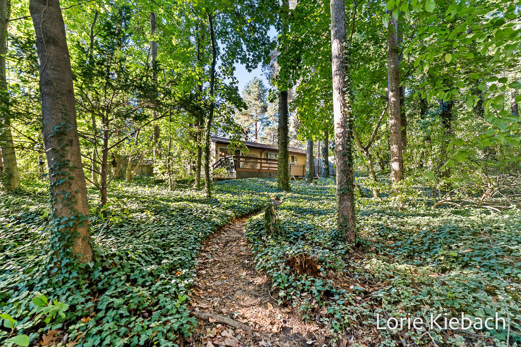 14666 Indian Trails Drive Grand Haven MI 49417