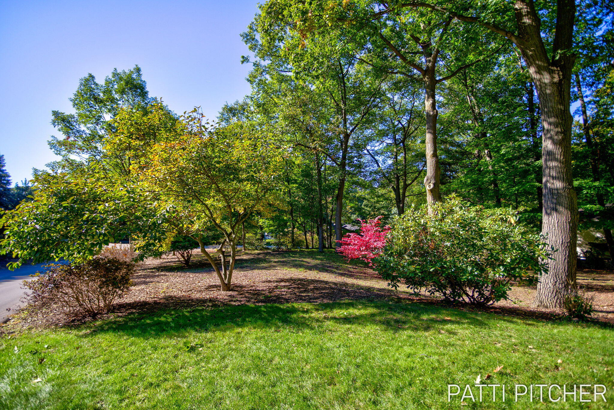 13582 Redbird Lane Grand Haven MI 49417